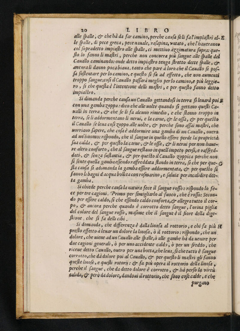 40 È I: BR! 0 alle (palle, cy che ha da far camino, perche caufa feli fa l'impiaftri a E le (palle, di pece greca, pece nauale, rafapina, vntato , chè l’haueranno col fopradetto impiaftro alle (palle, ci mettino azzimatura fopra: que= fio lo fanno li maftri; perche non concorra più fangue alle (palle del Cauallo caminando: onde detto impiaftro tenga ftretto dette fpalle; &amp; “ancorali danno pocabiana, tanto che pare .d loro che il Cauallo fi pof fa fofteutare per locamino, e queRto fi fa ad effetto, che non aumenti troppo fangue;coft il Cauallo paffarà meglio perlo caminose più leggie= ro , fi che queta l'intentione delli maftri , e per quefto fanno detto impiaStro ST | “a Si dimanda perche caufaun Cauallo gettandofi interra fi lenarà poi E conuna gambazoppa dico che alle uolté quando fi gettano quefti Ca- nale in terra, &amp; che fe li fa alcuno rimedio, e che fianno troppo in terra, fe li addormentano li nerui, e la carne, e&amp; le offa, cy per questa il Cauallo (è lena cofe zoppo alle uolte, cr perche fono affai maftri, che uorriano fapere, che cofa è addormire una gamba di un Cauallo , ouera ad un'buomo: ripondo; che il fanguein quello e[fere perde la proprietà Sua calda, &amp; per quefto.la carne, &amp; le offa, cx linerui pernon haue= re altro.conforto , che il fanzuereRano inquell'impeto perfise raffred- dati, &amp; (enza fuftantia, &amp; per questo il Canallo Zoppica perche non fi fente quella gambae(fendo raffreddata iando in terra, fi che per que- G Sta caufa fi adomanda la gamba effere addormentata, &amp; per questo fa fanno li bagni d'acqua bolkta con rofmarino 3 e. faluia per incalidire det. ta gamba. i venia alano di Cl tr St chiede perche caufala natura fece il fangue roffo: rifpondo lo fe= ce pertrecagioni. “Primo per fimigliarlo al fuoco sche è roffo: Secona do per effere caldo; fi che effendo caldo conforta, allegratutto il cor= Po» &amp; ancora perche quando è corrotto dectò fangue, l’orina piglia del colore del fangue roffo, mafime che il Jangue è il fiore della dige= flione , che fî fa delli cibi. | St domanda, che differenza è dallalinofa al rottorio je chi fa più H prefto effetto a lenar un dolore la linofa, 0 il rottorio : rifpondo; che un dolore , che uiene ad un Cauallo alle (palle, ò alle gambe ha da uenire per due cagioni generali, ò per uno accidente caldo, ò per'un'freddo ; che , riceue detto Cauallo, ouero per unabottasche lena, fi chetutto è (anque corrotto,che da dolore poi al Cauallo; cy per quefto li maftri gli fanno quelte linofe se quefti rotori : &amp; fa più opera il rottorio della linofa , perche il fangue , che da detto dolore: è corrotto , ha perfo la -virti salda, G* però dé dolore, dandoni ilrottorio, che fano coft calde se che purgano