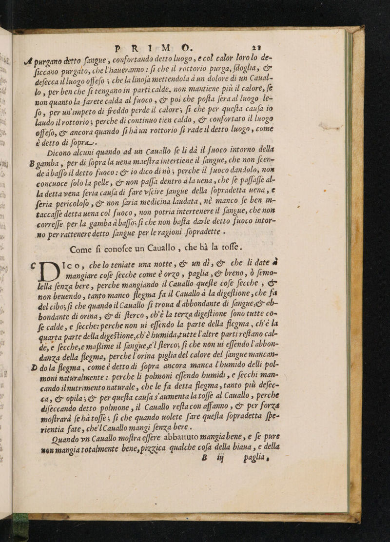 | Mi | tm È | p: ReteM:; O. 2? ficcano purgato, chel'haueranno : fi che il rottorio purga, fdoglia, &amp; defecca il luogo offefo s che la linofa mettendola a un dolore di un Caual- lo , per ben che fi tengano in parti calde, non mantiene più il calore, fe mon quanto la farete calda al fuoco &amp; poi che pofta feraal luogo le- fo» per un'impeto di freddo perde il calore; fi che per quefta caufa io laudo il rottorio; perche di continuo tien caldo, «x confortato il luogo offefo, &amp;r ancora quando fi baun rottorio fi rade il detto luogo , come è detto di fopra>. Dicono alcuni quando ad un canallo fe li da il fuoco intorno della deabaffo il detto fuoco: &amp;y i0 dico dinò; perche il fuoco dandole, nor concuoce folo la pelle, &amp; non paffa dentro alauena,che fe paffaffe al- ladettavena feria caufadi fare vfcire fangue della fopradetta uena, e feria pericolofo , &amp; non faria medicina laudata, nè manco fe ben 1n- taccaf]e detta uena col fuoco , non potria intertenere il fangue, che non correffe per la gamba a baffo: fi che non bafta darle detto fuoco intor- mo perrattenere detto fangue per le ragioni fopradette . Come fi conofce un Cauallo , che hà la toffe. mangiare cofe fecche come è orzo ; paglia ,&amp; breno, ò femo- lella fenza bere , perche mangiando il Cauallo quefte cofe fecche , &amp; non beuendo, tanto manco flegma fa il Cauallo d ladigefione che fa del cibo; fi che quando il Cauallo fi trova d abbondante di fangue,<y ab- bondante di orina, &amp; di fterco , ch'è la terza digeftione fono tutte co- fe calde, e fecches perche non ui effendo la parte della flegma , ch'é la quarta parte della digeStione,ch'è bumida,tutte l'altre parti reftano cal- de, e fecche,e maRime il fangue,el fierco; fi che non ut effendo l’abbon- danza della flegma, perche l'orina piglia del calore del fanguemancan= moni naturalmente : perche li polmoni e[fendo bumidi , e fecchi man- cando ilnutrimento naturale , che le fa detta flegma , tanto più defec- ca, &amp; pila; &amp; per quefta caufa s'aumenta la toffè al Cauallo , perche difeccando detto polmone , il Cauallo reftacon affanno , &amp; per forza moftrarà (ebatof]e; fi che quando uolete fare quefta fopradetta fpe- rientia fate, che’ lCauallo mangi fenza bere . Quando vn Cauallo mo/tra effere abbantuto mangiabene, e fe pure monmangia totalmente bene, pizzica qualche cofa della biaua , e della B wy paglia è