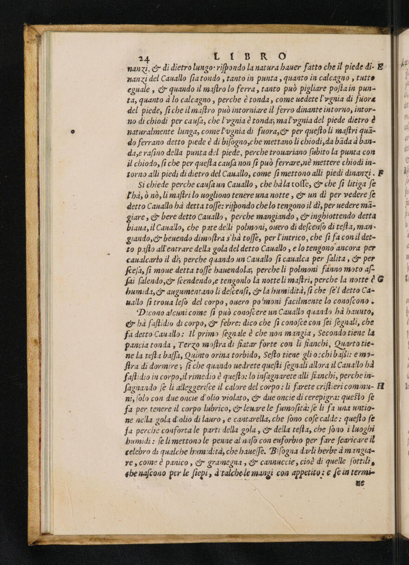 2 dr: cy di dietro lungo: rifpondo la natura hauer fatto che il piede di- E nanzi del Cauallo fiatondo s tanto in punta , quanto in calcagno , tutto eguale &amp; quando il maftro lo ferra, tanto può pigliare poftain pun- ta, quanto 4 lo calcagno , perche è tonda, come uedete l’ognia di fuore del piede, fiche ilmaftro può intorniare il ferro dinante intorno, intor- no di chiodi per caufa, che l'ognia è tonda; mal’vgnia del piede dietro è naturalmente lunga, come l'vgnia di fuora,cr per quefto li maftri qua- do ferrano detto piede è di bifogno,che mettano li chiodi,da bada a ban- da,erafino della punta del piede, perche trouariano fubito la punta con il chiodo, (i che per quefta caufa non fi può ferrare,nè mettere chiodi in- torno alli piedi di dietro del Cauallo, come fimettono alli piedi dinanzi . E Si chiede perche caufaun Cauallo , che balatolle, &amp; che ft litiga fe Fha; ò nò, limaftri lo uogliono tenere una notte , &amp; un dì per vedere fe detto Cauallo ha detta toffe: rijpondo chelo tengono il dì, per uedere ma- giare, &amp; bere detto Cauallo, perche mangiando, cr inghiottendo detta biana, il Cauallo, che pate delli polmoni, ouero di defcenfo di tefta, man» girando, beuendo dimoftra s'ha toffe, per l'intrico, che fi fa conil det- to pafto all'entrare della gola del detto Cauallo , e lotengono ancora per caualcarto il dì, perche quando un Canallo fi canalca per falita , &amp; per fee/a, fî moue detta toffe bauendola; perche li polmoni fanno moto af- fai (alendo,<&amp; (cendendo,e tengonlo la nottelimaftri, perche la notte é G humida,&amp; augumentano li defcenfî, &amp;y la bumidità, fi che fel detto Ca- uallo fi troua lefo del corpo, ouero polmoni facilmente lo conofcono + Dicono aleunicome fi può conofcere un Cauallo quando ha hauuto, cy hd faftidio di corpo, &amp;° febre: dico che fi conofce con Sei fegnali, che fadetto Cauallo: IL primo fegnale è che non mangia, Secondotiene la pancia tonda , Terzo moftra di fiatar forte con li fianchi, Quartotie- ne la refta baffi, Quinto orina torbido, Sefto tiene glio:chi baffi: emo- fra di dormire; fe che quando uedrete quefti fegnali allora il Canallo ha faft:dio in corpo,il rimedio è quefto: lo infagnarete alli franchi, perche in- fagnando fe li alleggerifce il calore del corpo: li farete criftieri commu- R ni, (olo con due oncie d'olio violato, &amp; due oncie di cerepigra: questo fe fa per tenere il corpo lubrico, &amp; leuare le fumofita: fe li fa una untio- ne nella gola d'olio di lauro s e cantarella, che fono cofe calde : quefto (e fa perche confortale parti della gola , &amp; della tefta, che fono i luoghi bumidi : fe limettono le penne al nafo con euforbio per fare Scaricare îl celebro ds qualche bum:dità, che haue]f©. Bifogna darli berbe a mangia» re, come è panico , <y° gramegna s &amp; camuccie , cioè di quelle fottili, sbenafcono perle ficpi, a'talchele mangi con appetito: € {c in termi ue PRATT SLI ART TRITO RITRATTA