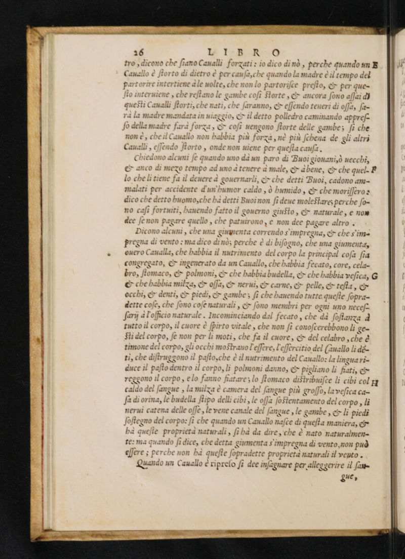 eg > MO TETTE TA = 268 WH 1I:3_R.0 tro ) dicono che fiano Canalli fe mzati > io dico di no, per che quando #n S Canallo è fforto dì dietro è Di cat fa,c he quando la madre è il tempo del rtorifce prefto, I per que- coli Storte , c&amp; ancora fono affai di Se STE I SETS gp I PRO be aflevdn teneri di alla £ PSRNEOSÙ CERNGIÙ fio) Ù). C£ 9 (S faTanzio, Co effenao teneri bis 0/fa, fa= x > P pi he » > pè » ” i è CAR a ae molte, N, i , gti ia mad ai cmandata if PI PIC LU CI 8 di detto polle dro camimando appr cf= DÒ f della madre fin forza, O coli neng ono fort e delle camb e; 3 fi che  © N , nè nea Ii; » N * : / “ \ » FIOR @ e COC di C Lit O 2703) Pal U'iad P in fi TRA « nè più, che lia de al altri - ” Pel# 9, ON : » . è aid 2 PeR ti “ Caualb, € î fCeHadO f O? O * € RAC rio IR HICHRE per q QUE Jia caufa, } X } € GECO di IMEZO È Fempo a I uno a TENEre Ni male, E dbeesì <a che q quel. ® \ ® ® è N 3 ta * v x Ta ye ® ee ® == i ® J lo che Ì #40 fat té GCHETe a Ni onermarii, O CE detti Bi noi, CEaQOZIO dIf=- È x malati pe ro «di X ‘ridente d PED bumo Pr caldo . Ò bi smido C) oa che moriffero a a * 1A È, . i 2} 22 ni D ’ ® « è £ | > CÈ » s dico cl DE detto duomo,che lo detti Buo #80 fi de 7 Î* molestare e perche. fo= n» tI) no cafi fortuiti, banende ) fatto u qouerno gi mito s &amp; naturale, e non dee Jemon Pag Ure QREUO , che Palmiro Tè) . € Ron dee Pi tgare altro È Dic ono Gt »78/91 bi cHe | HB € i state CO? rendo SY ‘tmpreg QU, a che Ss 7) progna di t VEnNi (CIA > } $ PA dic Nè) dh mx pere he e di bifogno, hI che 11734 QIum ENT. To N j ARIA È enero Canalla, che babbia il nutrimento del corp ola : prim cipa il cofa fia * }} COR IR cato, OO° ingenera To da STI C. dheailio è che bhabbia ad fecato, € Or e ° Cc ela Ci- bro, flomaco, &amp; pe mo ni, &amp; che nea prgn cx che babbia vefica, G &amp; che babbia milza, c e offa, &amp; nerui, &amp; carne, e y pe lle, &amp; refta, Co occhi, e denti, &amp; p' tedi, e gambe > fc che banendo tutte que) fe fopra- dette cole, che fono cofenaturali > 9 fono membri per ogm uno necef= farij a l'officio naturale. Incominciando dal fecato , che pf foftanza d tutto il corpo, il cuore è [piri rio vitale , che non fi conofe erebbono li ge- Shi del corp , fe non per È lì m oti, che fa il urea, co del celabr 0, che-d e timone d Qei I corpo, glio OC b i moSirano 3 l'elle Te Te reti i) del anello lì dé- ti, che di iffraggone o il pal fo,che è il nutrimento 5 del Camallo: È lingua tri éT Fari nai al È, Torss è 9 sf bia è | Ìì } DI 9 > pi ri li eucé pei parte GUCRETO di corpo, li polmoni Qdi nno, € gliano fiati, ci re S&amp;S 00 | pad I CO? P lè) % là PRO; o fanno fi tici LATE ) I fi ra IIRIaACO diStribuifce ! ll € “bi col rg caldo dei fangue la a milza è camera del fangue più grolfo, lavefica ca- RUNE SI |’ »*» î) fa d dì or? ma, i ie budella fi po delli cibi 9 de ofà fos Stentame nto del corpo, li . ì) NErHI * carte ded de ile O | >_le PC E CArIaie del fanque , le < &amp; APR DE è È Da lì pie di pofteg O, no del corpo:, È ‘be g nando un Canallo nafce di 1g 744 fia maniera s CI x , x } + ® } na quejt e proprieta naturali , fi ba da dires che è nato naturalmen= te: mia quando hi dice, che detta quem enta s' imp —megna di vento, Ron può effère ; ; perche non ba quefte. fopr adette propri rieta naturali il vento . } n }} \ ® Quanco sm Cauallo è riprelo fi dee infagnare per alleggerire il fatte He»