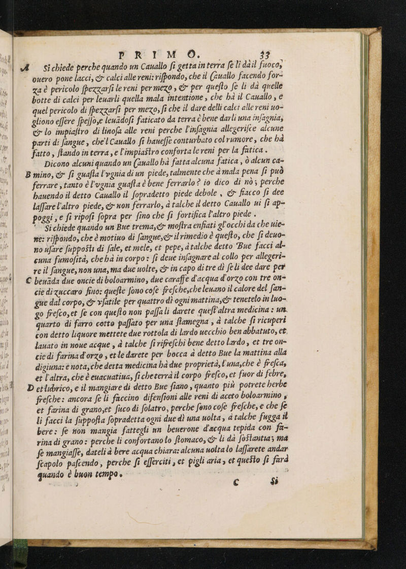 a» ouero pone lacci, &amp;y calci alle reni: rifpondo, che il (cuallo facendo for- za è pericolo fpezzarfi le reni permezo , © per quefto fe li da quelle botte di calci per leuarli quella mala intentione , che ha il Cauallo , e quel pericolo di (pezzarfi per mezo; fi che il dare delli calci alle reni uo- gliono effere fpelfose leuadofi faticato da terra è bene darli una infagnia; cy lo impiaftro di linofa alle reni perche linfagnia allegerifce alcune parti di fangue , chel Cauallo ft baneffe conturbato colrumore , che ha fatto, tando interra e l'impiastro confortalereni per la fatica . B mino, &amp; fi guafta l'ognia di un piede, talmente che a mala pena fi può ferrare tanto è l'ugnia quafta è bene ferrarlo® io dico di nò ; perche hauendo il detto Cauallo il fopradetto piede debole , &amp; fiacco fi dee laffarelaltro piede, &amp; non ferrarlo, atalche il detto Cauallo ui fi ap- poggi , e fi ripofi fopra per fino che fi fortifica l’altro piede . ‘Si chiede quando un Bue trema, &amp; moftra enfiati gl'occhi da che nie- se: rifbondo, che è motiuo di fangue,<&amp; il rimedio è quefto, che fi deuo- no ufare fupposti di fale, et mele, et pepe, atalche detto Bue facci al- cuna fumofità, cheha incorpo» fi deue infagnare al collo per allegeri- re il fangue, non una, ma due uolte, &amp; în capo di tre dì feli dee dare per € beuzda due oncie di boloarmino, due caraffe d'acqua d'orzo con tre on= cie dizuccaro fino: quefte fono cofe frefchesche lenano il calore del fan= gue dal corpo, &amp;r vfatile per quattro di ogni mattina, tenetelo in luo- go frefco,et fe con quefto non paffali darete queft'alera medicina : ur. quarto di farro cotto paffato per una fiamegna , a talche ft ricuperi con detto liquore mettete due rottola di lardo uecchio ben abbatuto; et. danato in noue acque ; 4 talche fi rifrefchi bene detto lardo, et tre on= cie di farina d'orzo s etle darete per bocca a detto Bue la mattina alla digiuna: è nota,che detta medicina ha due proprietà, l'una,che è frefca, et l’altra, che è cuacuatiua, fi cheterrà il corpo frefco, et fuor di febre, D cilubrico, e il mangiare di detto Bue fiano, quanto piu potrete herbe frefche: ancora fe li faccino difenfioni alle reni di aceto boloarmino y et farina di granoset fuco di folatro, perche feno cofe frefche,e che fe li facci la fuppofta fopradetta ogni duedì una uolta, a talche fugga i rina di grano: perche li confortano io ftomaco, &amp;y li da foftantiaz ma feapolo pafcendo , perche fi efferciti , et pigli aria, et questo fi farà quando È buon tempo è - se | ine D € si == ———_=z = n