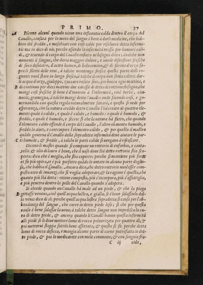PR A M0. Cauallo, caufata per lo moto del fangue è bene 4 darli medicine, che bab- bino del freddo , e mefchiate con cofe calde per rifoluere detta infermi- di, tenendo il corpo del Casallo enfrato ui bifogna dieta ; atalche non aumenti il fangue, che daria maggior dolore , e uuole difenftoni frefche di (uco defolatro, d'aceto bianco,di boloarmino,g&amp; di farina d'orzo fo- ; b, j Sl prali filetti delle reni, a talche mantenga frefca quella parte delli ro- li acqua d'orzo, giuleppo, zuccaro rofato fino, per bocca ogni mattina, e mangi cofe frefche fe bene è d'inuerno a l'infermita, cioè herbe, cane nucie, gramegna,; a talche mangi detto Cauallo: onde facendo coft, e go- uernandolo con quefta regolanaturalmente fanara, e quefto ft uede per e/perienza, che la natura creado detto Cauallo l’ha creato di quattro ele- menti quale è calido , e quale è calido se bumido : e quale è bumido, &amp; freddo, e quale è hbumido, e fecco: fi chela natura ha fatto, che quando l'elemento caldo offende il corpo del Cauallo , l’altro elemento bumido, e freddo lo aiuti, e contemperi l'elemento calido , &amp; per questo il maîtro quado gonerna il Canallo della fopradetta infermità deue aiutare le par- Diconoli maftri quando fi compone un rottorio di euforbio, e canta- sella,&amp; olio di lauro è bene, che il uafo doue Sta detto rottorio ftia fto- perto: dico che è meglio, che flia coperto: perche fi mantiene più forse et fa più operaset è più perfetto quado lo untate in alcuna parte doglio- fa, che habbia il (auallo. Ancora dico,che detto rottorio unoleffèr com- pofto otto dì innanzi.che fi voglia adoperare, la ragione è queSta,che quanto più Sta detta» ntione compofta, più s'incorpora, più s' affottiglia, e piu penetra dentro la pelle del Cauallo quando s adopera. Si chiede quando un Canallo ha male ad un piede , &amp; che la piaga la vena: dico di st; perche quell'acqua luftra fopradetta fi caufa per l'ab- bondanza del fangue , che corre in detto piede lefo; fi che per quefta caufa è bene falaffar la uena; a talche detto fangue non impedifca la cu= ra di detto piede, cy ancora quando li Caualli hanno quefta infermità alli piedi fe li deue metterelume di rocca poluerizata per quattro di, poi metterui ftoppa fottile bene affettata, &amp; quefto fi fa perche detta lume di rocca deftcca, e mangia alcuna parte di carne putrefatta in det- so piede, &amp; poi lo medicarete con mele commune, &amp; con fongnia fra-