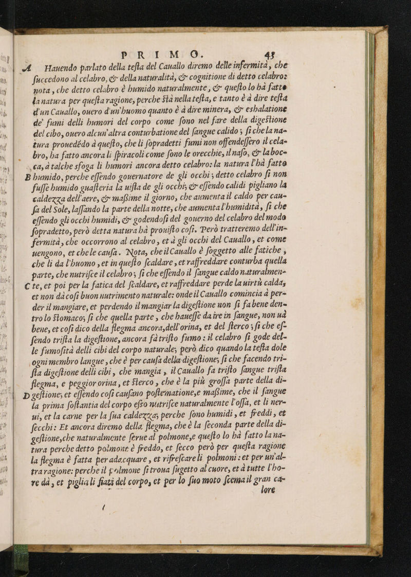PORSI MiO. fuccedono al celabro, &amp; della naturalità, <&amp;y cognitione di detto celabro» nota , che detto celabro è humido naturalmente , &amp; quefto lo ha fatte la natura per quefta ragione, perche Sta nella tefta, e tanto è a dire tefta d'un Cauallo, ouero d'un’'huomo quanto è 4 dire minera, &amp; eshalatione de fumi delli bumori del corpo come fono nel fare della digestione del cibo, ouero alcun’altra conturbatione del fangue calido ; fichelana= tura prouedèdo 4 quefto, che li fopradetti fumi non offendefero il cela» bro, ha fatto ancorali fpiracoli come fono le orecchie, ilnafo, &amp; laboc= fuffe bumido guafteria la uifta de gli occhi; &amp;r effendo calidi pigliano la caldezza dell’aere, &amp; maftime il giorno, che aumenta il caldo per cau- fa del Sole, laffando la parte della notte, che aumental'bumidita, fi che e[fendo gli occhi bumidi, &amp; godendofi del gonerno del celabro del moda fopradetto, però detta natura ha prouifto cofî. Però tratteremo dell’in= fermità, che occorrono al celabro , et è gli occhi del Cauallo , et come uengono, et chele caufa. Nota, cheilCauallo è foggetto alle fatiche ; che li da l’huomo set in quefto fcaldare ; et raffreddare conturba quella parte, che nutrifce il celabro; fi che effendo il fangue caldo naturalmen= et non da cofì buon nutrimento naturale: onde il Cauallo comincia 4 per- der il mangiare, et perdendo il mangiar la dige/tione non fi fa bene den= tro lo Stomaco; fi che quella parte , che haueffe daîre in fangue, non ud bene, et cofî dico della fegma ancora;dell'orina, et del fterco s fi che ef- fendo trifta la digeftone, ancora fatrifto fumo : il celabro fi gode del- le fumofità delli cibi del corpo naturale; però dico quando la tefta dole ogni membro langue , che è per caufa della dige/tione; fi che facendo tri- fia digcftione delli cibi, che mangia ,, il cauallo fa trifto fangue trifta flegma, e peggiororina, et Sterco » che è la più groffa parte della di- la prima foRantia del corpo efso nutrifce naturalmente l’offa, et li ner-= ui, et la carne per la fua caldezza; perche fono humidi, et freddi, et fecchi: Et ancora diremo della flegma, che è la feconda parte della di- geftione,che naturalmente ferue al polmone,e quefto lo ha fatto la na- tura perche detto polmone è freddo, et fecco però per quefta ragione la flegma è fatta per adacquare , et rifrefcareli polmoni : et per un'al- traragione: perche il plmone fitroua fugetto al cuore, et atutte l'ha- ve da, et pigliali fiatà del corpo, ct per lo fuomoto fcemail gra ca ore
