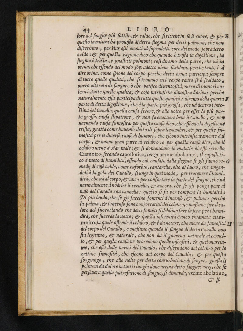 lore del fangue più fottile, &amp; caldo, che firitienein fe il cuore, &amp;v per B quefto lanatura ha prouifto di detta flegma per detti polmoni, che non difecchino , per Star efti auanti al fopradetto core del modo fopradetto caldo : &amp; per queSta ragione dico che quando è trifta la digeStione , la flegma è trifta , e guaftali polmoni; cofi diremo della parte, che ua in orina, che effendo del modo fopradetto uiene ftaldata, perche tanto è di dire orina, come (pione del corpo perche detta orina participa fempre di tutte quelle qualità, che fi trouano nel corpo tanto fe è fcaldato $ ouero alterato di fangue, ò che patifce diuentofità,ouero di bumori co- lericistutte quefte qualità, &amp; cofe intrinfiche dimofira l’orina: perche naturalmente e[fa participa ditutte quefte qualità : diremo della quarta F parte di detta digeftione , che è la parte più groffa , che ud dentro l’inte- $tina del Cauallo; quefta caufa fetore,c&amp; alle uolte per effer la più pare te groffa, caufa fiipatione , &amp; non faeuacuare bene il Cauallo, &amp; non uacuando caufa fumofità: per quefta caufa dico, che effendo la digeftione trifta, guaftacome bauemo detto di Sopra limembri, &amp; per queste fu- mofita per le diuerfe caufe di bumori, che efcono intrinficatamente dal corpo , &amp; uanno gran parte al celabro se per questa caufa dico , che il celabro uiene a Star male; &amp; fi domandano le malatie di e[b cervello Ciamoiro, fecondo capoftotico, terzo uerme abolatiuo:, I! capoffoti- co È moto di bumidita, e(fendo ciò caufato dalla flegma fe gli fanno ri- G medi di cofe calde, come euforbio, cantarella, olio di lauro , che Ungen- doli a la gola del Cauallo, frungein quelmodo , pertratenere l'humi- dita, che udal corpo,&amp;y anco per confortare la parte del fangue, che ua naturalmente a nodrire il ceruello, &amp;x ancora, che Se gli ponga pene al nafo del Cauallo con cannella: queSto fi fa per rompere la bumidità : Di piu laudo, che fe gli faccino fomenti d'incenfo , &amp; palma: perche la palma, &amp; l'incenfo fona confortatiui delcelabrose maftime per il ca- lore del fuoco: laudo che detti fometi fi debbino fare la fera per l’'humi- dita, che fuccede la notte; &amp; queSta infermità è anco chiamata ciam- moiro,la quale offende il celabro; &amp;r è da notare, che uiene da fumofita 12} del corpo del Cauallo , e maftime quando il fangue di detto Cauallo non fta legitimo, &amp; naturale, che non da il'gouerno naturale al ceruel- lo, &amp; per quelta caufa ne procedono quelle nifcofità, cv quel marciu» di me, che efce dalle narici del Cauallo , che difcendono dal celabro per le cattine fumofità , che efcono dal corpo del Cauallo: «&amp; per quefto Soggiungo » che alle uolte per detta conturbatione di fangue, guaftali polmoni da dolore intuttii luoghi doue arrina desto fangue: anzi, che f@ perfeuera quella putrefazione di fangue, fi dimanda, verme abolatiuoy SCIITA SAPERE TRIO DINAR ANI PETRI ATE I?