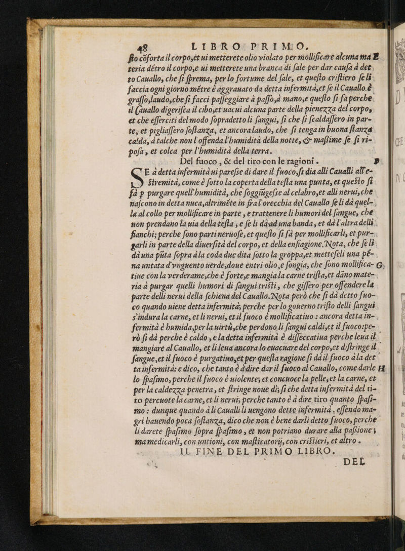 COLA SIE 7 PIRLA 48 LIBRO PRIM:O. focofortailcorpoét ui metterete olio violato per mollificare alcunama È go Cauallo, che fi fprema, per lo fortume del fale, et quefto criftiero feli faccia ogni giorno métre è aggrauato da detta infermita;et fe il Cauallo. è graffo.laudo,che fi facci paffeggiare à paffo,à manose quefto fi fa perche. il (auallo digerifca il cibo;et uacui alcuna parte della pienezza del corpo, et che e[ferciti delmodo fopradettoli fangui, fi che fi (caldaffero in par- te;.et pigliaffero foftanza, et ancoralando, che fi tengain buona fianza calda, àtalche non l'offendal'humidità della notte, cy mafime fe fe ri- pofa» et colca per l'bumidità della terra. Del fuoco , &amp; del tiro conle ragioni . » E a detta infermità ui parefse di dare il fuoco,ft dia alli Caualli all'e- s) Stremità, comeè fotto lacopertadellatefta una punta, et queSto fi fà p purgare quell’humidità, che foggiuge/se al celabroset alli nerui,che nafconoin detta nuca,altriméte in fral'orecchia del Cauallo fe li da quel-. la al collo per mollificare in parte , e trattenere li bumori del fangue, che non prendano la uia dellatefta e fe lì dead una banda, et da l'altra delli; fianchi; perche fono parti neruofe, et quefto fi fà per mollificarli, et pur-.. garli in parte della diuerfità del corpo, et della enfiagione.Nota, che felî. da una puta fopra dla coda due dita fotto la groppaset mettefeli una pè-. tine conla verderame,che è forte,e mangiala carne trifta,et dano mate-. ria d purgar quelli bumori di fangui tri$ti , che giffero per offenderela parte delli nerui della Schiena del Cauallo.Nota però che fi da detto fuo- co quando viene detta infermità; perche perlo gouerno trifto delli fangui sindurala carne, et li nerui,etil fuoco è mollificatiuo : ancora detta in-. fermità è bumida,perla uirtu,che perdono li fangui caldi,ct il fuoco:pe= fangue,et il fuoco è purgatinoset per queta ragione fi da il fuoco dla det lo fpafimo, perche il fuoco è uiolente; et concuoce la pelle,et la carne, et per la caldezza penetra, et fringe noue dis fi che detta infermità del ri- ro percuote lacarne,etli neruî, perche tanto è a dire tiro quanto fpafi- mo: dunque quando ali Caualli li uengono dette infermita . e[fendo ma- gri banendo poca foftanza, dico che non è bene darli detto fuoco, perche li darete (paftmo fopra fpafimo; et non potriano durare alla paftione ; mamedicarli, con untioni, con mafticatorij, con criStieri, et altro . IL FINE DEL PRIMO LIBRO. ! ì . DEL TÉ [00 i faut i