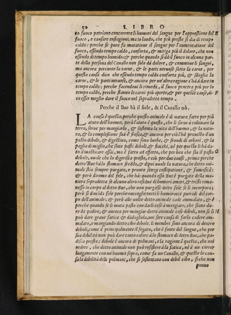 to fuoco potriano concorrere li humori del fangue per l'oppreRione del B fuoco s e caufare enfiagioni; ma io laudo, che più prefto fi dia ditempo caldo : perche fe pure fa mutatione il fangue per l'aumentatione del fuoco, efendo tempo caldo , conforta , &amp; mitiga più il dolore »che n0% e[fendo ditempo bumido:<y perche quando fi da il fuoco in alcuna par- te della perfona del Cauallo non folo da dolore, &amp; commoueli fangui, ma ancora percuotela carne , &amp; le parti neruofe fotto la carne, per quefta caufa dico che e[fendotempo caldo conforta più, &amp; fdoglia la carne, &amp; le parti nevuofe, &amp; ancora per un’altraragione s'ha d dare in tempo caldo; perche facendovi li rimedij s il fuoco penetra più per lo tempo caldo, perche fanno le carni più aperte, per queste caufe,di- F co effer meglio dare il fuoco nel fopradetto tempo . Perche il Bue hà il fiele, &amp;il Cauallo nò. A caufaé queSta, perche quefto animale è di natura fatto per più aiuto dell'huomo; però l'aiuto è quefto sche li ferue a coltivare la terra, ferue per mangiarlo , &amp; (oftenta la unita dell'hiuomo , &amp;o la natu- ra, la compleRione fua è frefca,e&amp; ancora perciò l'ha prowifto d'un pasto debole, &amp; digeStino, come fono herbe, &amp;y frondi di arbori , &amp; la paglia di miglio,che fono pafti deboli,&amp;y fiacchi, né per questo li ha da- to ilimaSticare affai,ma è fatto ad effetto, che per ben che fia il pafto debole, unole che lo digerifca prefto, e:ciò. per due caufe , prima perche detto Bue halo fiomaco freddos<r dipoi uuole la natura,che detto ani- male ftia fempre purgato,e pronto fenza coftipatione, &amp; fumofità: &amp;y però diremo del fele , che ha: quando effo Bue è purgato della ma- riiera fopradetta fe alcuno altro refiduo di humori amari, &amp;trifti rima- nelle in corpo al detto Bue sche non purgaffe detto fele fe lì incorpora; però fi dimada fele percheraccoglietuttili bumoracci putridi del cor- po dell'animrale; &amp; pero alle uolte detto animale cade ammalato sé, perche quando fe li muta pafto con darli cofe a mangiare, che fiano du- reda padire, &amp; ancora per mangiar detto animale cofe deboli, non fe li H può dare grane fatica &amp; dadoglielasuoi fete caufa di farlo cadere am- malato ,e mangiando detto cibo debole, li membri fono ancora di dentro deboli,come è principalmenteil fegato, che è fonte del fangue sche per fua debilità non può dare tanto calore alo flomaco di detto Bue, che pae difca prefto = debole è ancora di polmoni sela ragione è quefta; che not uedete s che detto animale non puòdrefiftere ala fatica né a un correr lungamente conun'huomo fopray come fa un Canallo, &amp; questo lo can Sala debilità delli polmoni che fe foftentano con debil cibo , frche now ponno PR RP LETI ESPE RATE Vara e Lilli Pai