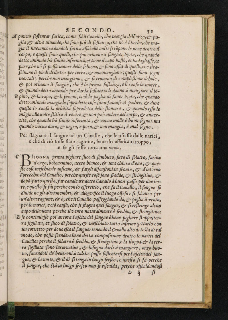 | SECON DIO. 39 I «£ ponno foftentar fatica, come fa il Cauallo, che mangia dell'orzo,co pa- 0 | glia,&amp; altre uinandesche fono più di foftanza,che no è l'herba,che ma- gia il Buesancoradandoli fatica affai alle uolte ft ropono le uene dentro il corpo, e quefti fono quellische poi orinano il fangue. Nota, che quando Dali detto animale ha fimile infermita,et tiene il capo baffo, et badagliaffeset 5 | pare,che no fi poffa mouer della fchiena,c&amp; fono affai di quelli,che flra» i Scinano li piedi didietro perterra, &amp;y non mangiano ; quefti fono fegni mortali; perche non mangiano, cr fi trouano di compleftione debole , CY poi orinano il fangue , che è la prima foftanza, eli caufala morte, i co quando detto animale per darla foftantia li danno 4 mangiare il lo- il B pino, &amp;la rapa, &amp;Li fauoni, cioè la paglia di fane: Nota, che quando detto animale mangiale fopraderte cofè fono fumofè al padire, &amp; dure quefto lo caufa la debilità fopradetta dello fiomaco , x quando effo le magia alle uolte ftitica il ventre, non può andare del corpo, <y auuer- tite, che quando ha fimile infermità , <> vacua molle è buon fegno; ma quando vacua duro, &amp; negro, e poco, non mangia, è mal fegno . pda) | Per ftagnare il fangue ad un Cauallo , chele ufciffe dalle narici, e che di ciò toffe ftato cagione, hauerlo affaticato troppo, € fe gli foffe rotta una vena. del «© IsoGna prima pigliare fuco di fambuco, fuco di folatro, farina d'orzo; boloarmino, acero bianco, &amp; una chiara d'ouo , &amp;r que- me | fie cofemefchiarle infieme, <&amp;x fargli difenfioni in fronte; cir d'intorno he | orecchie del Cauallo, perche quefte cofe fono fredde, cy ftringitiue, &amp;y inte | dopò fatto queto, farcaualcare detto Canallo a buon paffo per due ho- pae | rese quefto fi fa; percheconlo effercitio , che fà il Cauallo , il fangue fi diuide ne gli altrimembri, &amp; allegerifce il luogo offefo: fi fd anco per dm: | -un'altraragione, &amp;ré,.cheil Cauallo paffeggiando da,cy piglia il vento, dl ‘per lenarici, e ciò caufa, che fi fiagna quel fangue, x fi reftringe alcun | capodellauena perche il'vento naturalmente è freddo, &amp; firingitinos ill DJecontinuaffe poi ancora l'ufcitadel Sangue è bene pigliare foppa;ter- | ra Jigillata, et fuco di folatro, &amp; mefchiato tutto infieme gettarto con | un cornetto per doueefceil fangue: tenendo il Cavallo alto di teSta di tal | ‘modo, che poffa fcenderebene detta compojitione dentro le narici del | Cavallo: perche il folatro è freddo, &amp;y Rringitiuo,e la Jtoppa,&amp; later= | ra figillata ‘fono incarnatine, &amp;y bifogna darli è mangiare , orzo buo- nosfacendoli de' beueroni atalche poffa foftentarfi perl'ufcita del fan- gue, &amp; lanotte, il dî fitengainluogo frefto, e queto fi fa perche il fangue, che Sta in luogo frefco non fi rifcalda, perche rifcaldandofs ! Dj AU