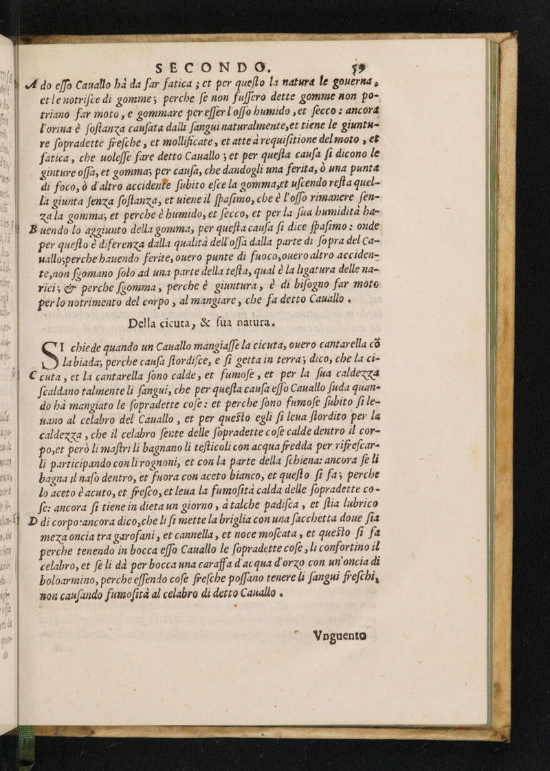 n i Ibuta etlenotrifce di gomme; perche fe non fuffero dette gomme non po-. triano far moto, e gommare perefferl'offo humido set fecco : ancora l’orina è foffanza caufata dalli fangui naturalmenteset tiene le giuntu= re fopradette frefche s et mollificate, et atte arequifitione delmoto , et fatica, che uoleffe fare detto Cauallo ; et per quefta caufa ft dicono le ginture o[fa, et gomma; per caufa, che dandogli una ferita, Ò una punta di foco, ò d'altro accidene fubito efce la gomma,et ufcendo refta quel- zala gomma; et perche è bumido, et fecco, et perla Sua bumidita ha- 1 î ih | i] È (tf | ); per quefto è diferenza dalla qualità dell'offa dalla parte di fopra del ca- uallo;perche hauendo ferite, ouero punte di fuocoyouero altro acciden= te,non fsomano folo ad una parte della tefta, qual è la ligatura delle na- rici, &amp; perche (somma, perche è giuntura, è di bifogno far moto per lo notrimento del corpo , al mangiare, che fa detto Cauallo » Della cicuta, &amp; fua natura. I chiede quando un Cauallo mangialfe la cicuta, ouero cantarella ca labiada; perche caufa ftordi/ce, e fi getta in terra; dico, che la ci- fealdano talmente li fangui, che per quefta caufa effo Canallo fuda quane do hà mangiato le fopradette cofe: et perche fono fumofe fubito fi le- nano al celabro del Cauallo , et per questo egli ft leua fiordito per la caldezza , che il celabro fente delle fopradette cofe calde dentro il cor- poset però li maftri li bagnano li tefticoli con acqua fredda per rifrefcar- li participando conli rognoni, et con la parte della Schiena: ancora fe li bagna i nafo dentro, et fuora con aceto bianco, et quefto ft fa; perche lo aceto è acuto, et frefco, et leua la fumofita calda delle fopradette co - fe: ancora fi tiene in dieta un giorno , a talche padifca , et ftia lubrico mezaoncia tra garofani , et cannella , et noce mofcata, et questo fi fa erche tenendo in bocca effe Cauallo le fopradette cofe , li confortino il celabro, et fe li dà per bocca una caraffa d'acqua d'orzo con un'oncia di boloarmino, perche elfendo cofe frefche poffano tenere lì fangui frefchi, n0n canfando fumofità al celabro di detto Canallo è Vo guento