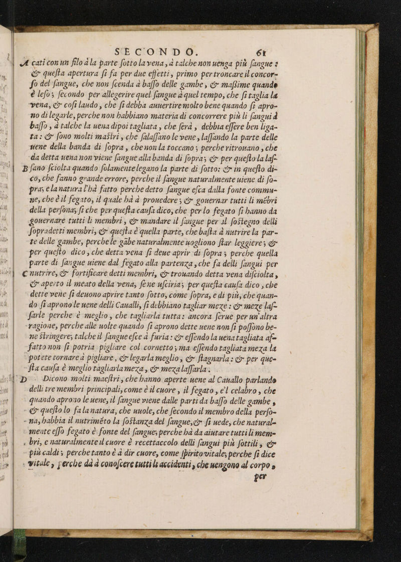 du LI p Vv 4 Ì e quelta apertura fi fa per due effetti, primo pertroncare il concor= So del fangue, che non fcenda a baffo delle gambe, &amp; mafime quando e lefo; fecondo per allegerire quel fangue è quel tempo, che fi taglia la vena, &amp; cofi lando , che fi debba aunertiremolto bene quando ft apro- no di legarle, perche non habbiano materia di concorrere più li fangui à baffo , d talche la uenadipoitagliata , che ferà , debbia effere ben liga- ta: &amp; fono molti maîtri sche falaffanole vene, laffando la parte delle vene della banda di fopra, che nonla toccano; perche ritronano , che da detta uena nor viene fangue alla banda di fopra; &amp;x per queftola laf>. co, che fanno grande errore, perche il fangue naturalmente uiene di fa- pra; elanatura l'ha fatto perche detto fangue efca dalla fonte commu- ne,che C il fegato, il quale hd a prouedere; &amp; gouernar tutti li mébri della perfona; fi che per quefta caufa dico, che perlo fegato fi hanno da gouernare tutti li membri , &amp; mandare il fangue per al foStegno delli Sopradetti membri, &amp; questa è quella parte, che bafta &amp; nutrire la par- te delle gambe, perchele gabe naturalmente uogliono ftar leggiere; &amp; per quefto dico, che detta vena fe deue aprir di fopra 3 perche quella parte di fangue uiene dal fegato alla partenza sche fa delli fangui per cr aperto il meato della‘ vena, fene ufciria; per quefta caufa dico ; che dette vene fi deuono aprire tanto fotto, come fopra, e di più, che quan do fi aprono le uene delli Caualli, fi debbiano tagliar meze : &amp; meze laf- farle perche è meglio, che tagliarla tutta: ancora. ferue per un'altra ne Stringere; talche il fangueefce a furia: <&amp; effendo la uenatagliata afe fastonon ft potria pigliare col cornetto; ma-effendo tagliata meza la potete tornarea pigliare, &amp; legarla meglio, &amp; flagnarla : &amp; per que- Dicono molti maeftri, che hanno aperte uene al Canallo parlando delli tre membri principali, come è il cuore , il fegato , el celabro , che quando aprono le uene, il fanzue viene dalle parti da baffo delle gambe, più caldi perchetanto è è dir cuore, come {pirito vitale; perche fi dice per