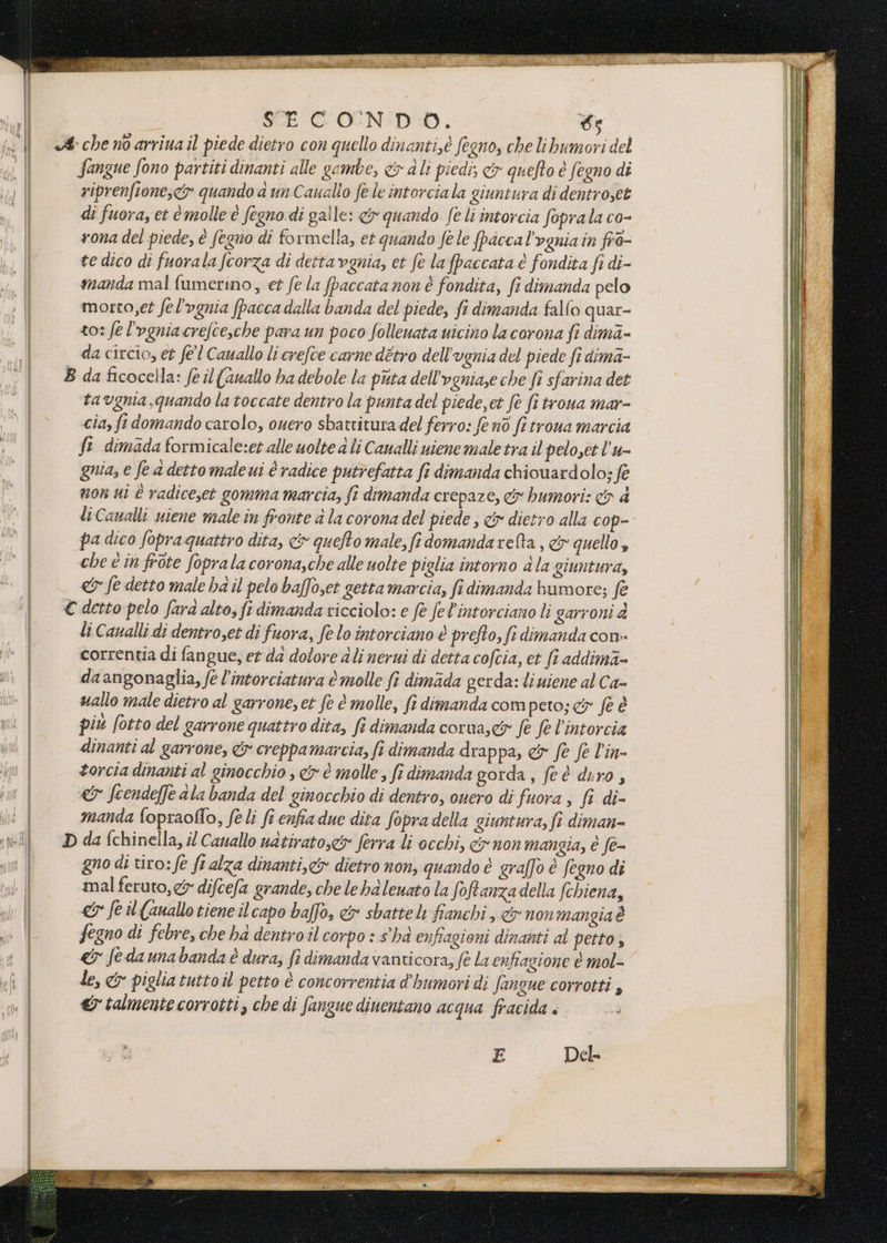 Sangue fono partiti dinanti alle gambe, &amp; a li piedi; cr quefto è fegno dt riprenfione,cy quando a un Canalio fe le intorcia la giuntura di dentroyet di fuora, et è molle è fegno di galle: o quando feli intorcia foprala co- rona del piede, è fegno di formella, et quando fe le pacca l'ognia in frd- te dico di fuorala fcorza di detta vgnia, et fe lafpaccata è fondita fi di- manda mal fumerino, et fe la fpaccata non è fondita, fi dimanda pelo morto,et fel'ognia (pacca dalla banda del piede, fi dimanda falfo quar- to: fe l’ogniacrefce,che para un poco follenata uicino la corona fi dima- da circio, et fel Cawallo li crefte carne détro dell'ugnia del piede fi dima- tavgma.quando latoccate dentro la punta del piede,et fe fi troua mar- cia, fi domando carolo, ouero sbattitura del ferro: fe nò fi troua marcia fi dimada formicale:et alle uolte a Îi Canalli uiene male tra il peloset l’u- quia, e fed detto male ui è radice putrefatta fi dimanda chiovardolo; fe non ui È radiceset gomma marcia, fî dimanda crepaze, &amp; bumori: &amp; 4 liCawalli uiene male in fronte a la corona del piede , &amp; dietro alla cop-. pa dico fopraquattro dita, &amp; quefto male, fi domandarelta , <&amp; quello, che è in frote foprala corona,che alle uolte piglia intorno ala giuntura, «&amp; fe detto male ha il pelo baffoset getta marcia, fi dimanda bumore; fe li Cavalli di dentro,et di fuora, fe lo intorciano è prefto, fi dimanda con- correntia di fangue, et da dolore ali nervi di detta coftia, et fi addimi- da angonaglia, fe l’intorciatura è molle fi dimada gerda: li uiene al Ca- uallo male dietro al garrone, et fe è molle, fi dimanda com pero; ey fe è più fotto del garrone quattro dita, fi dimanda corua,c&amp; fe fe l’intorcia dinanti al garrone, &amp;r creppamarcia, fi dimanda drappa, &amp; fe fe l’in- torcia dinanti al ginocchio , &amp;x è molle, fi dimanda gorda, feè duro , &amp;y fcendeffe ala banda del ginocchio di dentro; ouero di fuora , fi di- manda fopraoflo, fe li fi enfia due dita fopra della giuntura, ft diman- gno di tiro: fe ft alza dinanti,&amp;x dietro non, quando è graffo è fegno di mal feruto,<&amp; difcefa grande, che le bd lenato la foftanzadella fchiena, gi fe il (auallo tiene il capo baffo, &amp; sbatteli fianchi ,.«&amp; non mangiaè fegno di febre, che ha dentroil corpo : s'ha enfiagioni dinanti al petto; «&amp; feda una banda è dura, fi dimanda vanticora, fè la erfiazione è mol- le, &amp; piglia tutto il petto è concorrentia d'humori dij Sangue corrotti ; &amp; talmente corrotti, che di fangue diuentano acqua fracida «. E Del