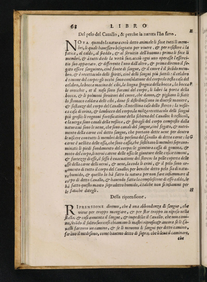 LORA AT PLUD A: ee DA TAR ne ARS Ca ns i x 3 a LINA gut SEL RIST: È Leg e a Pt a | Li MEER PR È LCA Ki È GI MBOR 105 Del pelo del Cauallo , &amp; perche la natura l'ha farto . TO TA quandolanaturacreò detto animale li fece tuttili mem- i bri, li quali baueffero bifognato per viuere , &amp; per refiftere a la | fatica , al caldo s al freddo , &amp;ral feruitio dell'huomo: prima li fece li | membri, &amp; atutti diede la virtù (naz acciò ogni uno operaffe l'efferci- tio fuo appartato, &amp; differente l'uno dall'altro , &amp; prima diremo il fe= gato effere fanguineo, cioè fonte di fangue, &amp; il cuore è il fecodo mem bro, &amp;r è recettacolo delli fpiriti, cioè delli fangui piu fottili : il celabro è timone del corpo: gli occhi fono confolatione del corpo:la tefta cafa del | celabro, labocca macina de’ cibi, la lingua (pognia della boccazlaboccaB. Al }: le orecchie , et il nafo fono forami del corpo , li labri la porta della | bocca, &amp; li polmoni feruitori del cuore, che danno, &amp; pigliano li frati: lo ftomaco caldara delli cibi , done fr diftribuifcono in diuerfe maniere, &amp; foftanze del corpo del Cauallo : l'inteStina cala dello fterco : la vefti- ca cafa di orina, &amp; tambicco del corpozla milza recettacolo delli fangui più grofti: li rognoni fortificatione della fchiena del Cauallo: È: tefticoli, e lauerga fono canali della veRtica , &amp; fpiragli del corpo compofto dalla naturazui fono le uene, che fono canali del fangue,cioè fegato, &amp; nutri- mento della carne col detto fangue, che portano dette uene per dentro I le uifcere contutti li membri della perfona del (anallo di detta carne : la G Î carne è ueStita delle offa, che fono caffasche foftétano li membri foprano- minati: li piedi fondamento del corpo:le giuntura caffa di gomma, &amp; moto del corposlinerui catene delle offa:le giunture delle cofcietimoni, &amp; fortezze di effe,il feffo è enacuatione del fterco: la pelle coperta delle o/Te della carne delli nerui , &amp;y uenezla coda li crini , &amp; il pelo fono or- amento di tutto il corpo del Canallo; per benche detto pelo fia di natu- rabumido, &amp; questo lo hà fatto la natura pernon fare infiammare il corpo di detto Cauallo, x hauendo fatta la compleftione di effo calda; le hi fatto quelto manto fopradetto bumido,atalche non fi infammi per le fatiche dategli. Della riprenfione. + IPRENSIONE diremo , che è una abbondanza di fangue , che R viene per troppo mangiare s &amp; per ftar troppo in ripofo nella Sralla; 5 cofi aumenta il langue , &amp; impedifce il Cauallo, che non cami- sas(ecdo il folito (no:coft chiamano li maftri riprefos<&amp; ancora fe li (4- palli faranno un camino, &amp; fe li mouono li fangni per detto camino.y farano il medefimo, come hanemo detto di Sopra; cheli leua il caminare, che