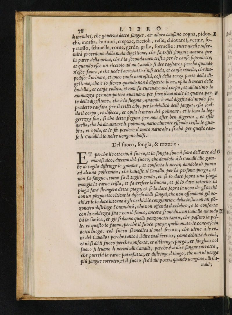 LOW DB RO0O9 chi, morfia, humori, crepaze, riccioli, refte, chiouardi, verme, fo- praollo, {chinelle, corue, gerde, galle, formelle : tutte quefte infer= mità procedono dallamala digeStione, che fatrifti fangui: ancora per la parte della orina, che è la fecondauientrifta per le caufe fopradette, et quando efce un ricciolo ad un Cauallo fi dee tagliare; perche quando wefce fuori, eche uede l'aere tutto s'infracida, et caufa renella, che im- pedifce l’orinare, et anco caufa uentofità, coft della terza parte della di- eStione, che è lo ferco quando non è digerito bene, opila li meati delle budella , et caufa collica, et non fa euacuare del corpo s et all'ultimo lo te della digeftione, che è la flegma quando è mal digefta del modo fo- pradetto caufata per li trifti.cibi, perla debilità delli fangui , efta fcal- dail corpo ; et difecca, et opila limeati del polmone , et li lena la leg» gerezza fua; ft che detta flegma per non effer ben digerita , et effer quella, che bada aiutare li polmoni, naturalmente effendo trifta le gua- Sta, et opila, et le fa perdere il moto naturale 5-ft che per quefte cau- fe li Canalli dle uolte uengono bolfi. Del fuoco, fongia, &amp; rottorio . marefcalco, diremo del fuoco, che dandolo a li Canalli alle gam- be di taglio diftringe le gomme , et conforta li nerui; dandolo di punta ad alcuna poftemma; che baueffe il Cauallo per la perfona purga » et non fa fangue, come fa il taglio crudo yet fe lo date fopra una piaga mangia la carne trifta, et facrefcerlabuona, et fe lo date intorno la piaga farà ftringere detta piaga, et fe la date foprala uena de gl'occhi ualli ;