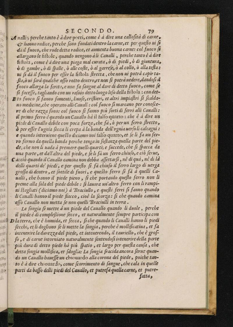 tI LIRISA SECONDO. 79 «€ hanno radice, perche fono fondati dentro lacarne,et per quefto ui ft dail fuoco, cherodedetta radice, et aumenta buona carne: col fuoco fe allargano le filtole, quando uengono ali Canalli , perche tanto è a dire fitola, come è d direuna piaga mal curata , ò di piedi , ò di giuntura, ò di gambe sò di (palle, ò alle cofte, d al garrefe, ò al collo, ò alla teftas ui fe dà il fuoco per efferla filtola firetta , che non ut potra capirta- fiasò ni farà qualche offo rotto dentroset non fr potra nedere,dandofi i fuoco allarga la feritase non fa fangue al dare di detto fuoco , come fe fi faceffe, tagliando con un raloio detto luogo lefo della filtola : con det- P_(}{{a VAR 4 | | {le | Afottd curdo j IUEICAI | | | nd De Ì ni 004 N pro | Tia | no medicine,che operato alli Caualli: col fuoco fi marcano per conofce- re di che razza fono: col fuoco ft fanno più forti di ferri alli Caualli : il primo ferro è quando un Cauallo hà il falfo quarto : che è a dire un piede di Cauallo debile con poca forzasche fa sò perun ferro firetto, ò per effer l’ugnia fecca li crepa d la banda dell’ognia uerfoli calcagni è e quando interniene queSto diciamo noi fallo quarto, et fe li fa un fer- de; che non li uada è premere quelli quarti; e fuccede, che ft [pacca da una parte yet dall'altra del piede, e fel faun ferro chiufo, e ciò ferue, delli quarti de’ piedi, e per quefto fi fa chiufo il ferro largo di uerga groffa di dentro s et fottile di fuori, e questo ferro fi fd è quelli Ca- ualli, che banno il piede pieno , fi che portando quefto ferro non li preme alla foladel piede debile : fi lanora un'altro ferro con li rampi- ni Stagliati (diciamo noi) &amp; Braciullo , e quefti ferri fi fanno quando li Catall: banno il piede fiacco cioè la fcorza: fi che quando camina La fongia ft mette a un piede del Cauallo quando li duole , perche il piede è di compleRttone fecco s et naturalmente fempre participa con Secchi, et li dogliono fe li mette la fongia , perche è mollificatiua , et fa intenerire la durezzadel piede, et intenerendo, il tauriello , che è grof- fo se di carne intorniato naturalmente fentendofi intenerire della parte più duradi detto piede ha più (patio , et largo per quelta caufa , che detta fongia mollifica et fdoglia: La fongia fracida ancora ferue quane do un Caualto haueffeun chiowardo alla corona del piede , poiche tan= to è a dire chiowardo, come fcorrimento di fangue sche cala in quelle parti da baffo delli piedi del Canallo, et putrefa quella carne, fi putre= atta z