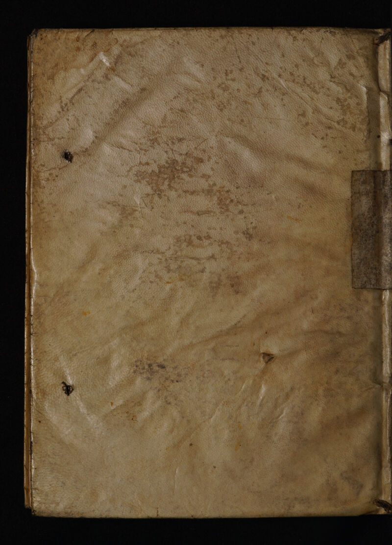 No text description is available for this image