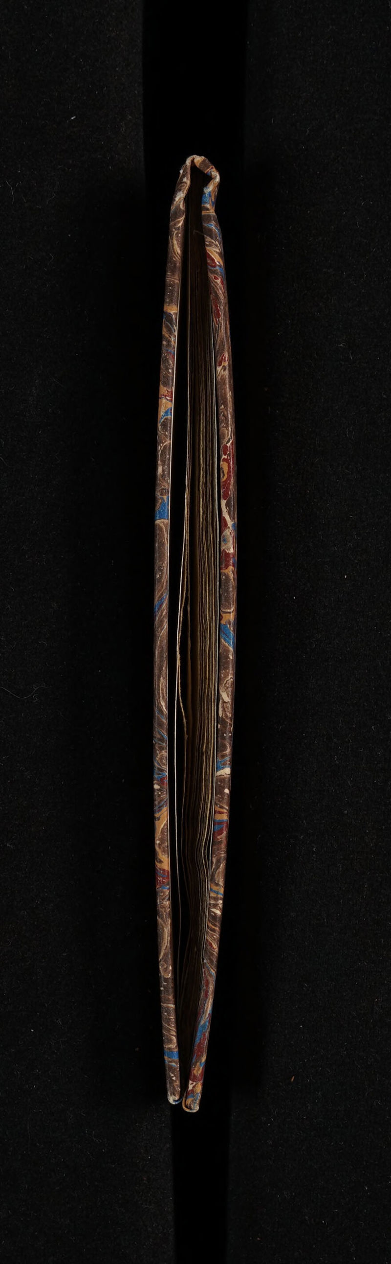 No text description is available for this image