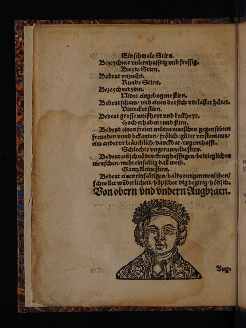 Ir: N er . 7 Pr a 3 N 8 2 | Ein ſchmale Stirn. } Bezeychnet vnlernhafſtig vnd freſſig Bieyte Stirn. Bebdeut vnmzucht. Kunde Stirn. Dezeychnet zorn. ee Nider eingebogene ſtirn. + Bedeut ſcham / vnd einen der ſich vor laſker huͤter. Vierecket ſtirn. Bedeut groſſe weißheyt vnd keckheyt. Hoch erhaben rund ſtirn. Bedent einen freien milten menſchen gegen ſeinen freunden vnnd bekanten / froͤlich / gůter verſtentnus⸗ eim anderen bꝛaͤuchlich / danckbar / tugenthafft. Schlechte vngeruntzelte ſtirn. Bedeut eiñ ſchnoͤ den / krieghafftigen / betrieglichen menſchen / mehꝛ e e weiſe. e Gang kleine ſtirn. 1 a Bedeut einen einfaltigen / baldz oꝛnigenmenſchen ſchneller wũderlicheit / hůpſcher dig begirig / hoͤſiſch. Von obern ond vndern Augbꝛgen. * 8 N r De N — * U