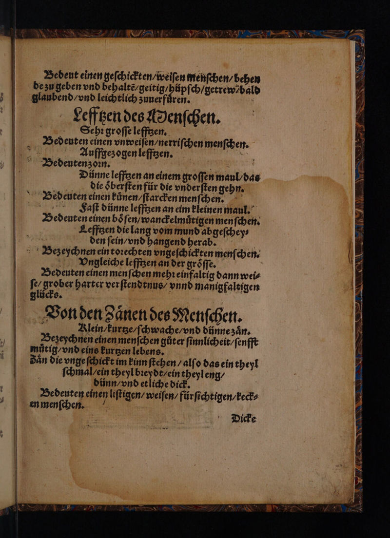 Bedeut einen geſchickten / weiſen menſchen⸗ behen Auffgez ogen lefftzen. Dünne leffgen an einem groſſen maul / das die oͤberſten für die vnderſten gehn. 8 Faſt dünne lefftzen an eim kleinen maul. Bedeuten einen boͤſen / wanckelmuͤtigen menſchen. Lefftzen die lang vom mund abgeſchey⸗ den ſein / vnd hangend herab. Vngleiche lefftzen an der gröffe. Bedeuten einen menſchen mehꝛ einfaltig dann wei⸗ / grober harter verſtendtnus / vnnd manigfaltigen G Klein / kurtze/ſchwache / vnd dünne zaͤn. Bezeychnen einen menſchen güter ſinnlicheit / ſenfft ſchmal / ein theyl bꝛeydt / ein theyl eng / dünn / vnd et liche dick. Bedeuten einen liſtigen / weiſen / für ſichtigen / keck⸗ Dicke N NN N Sn SI