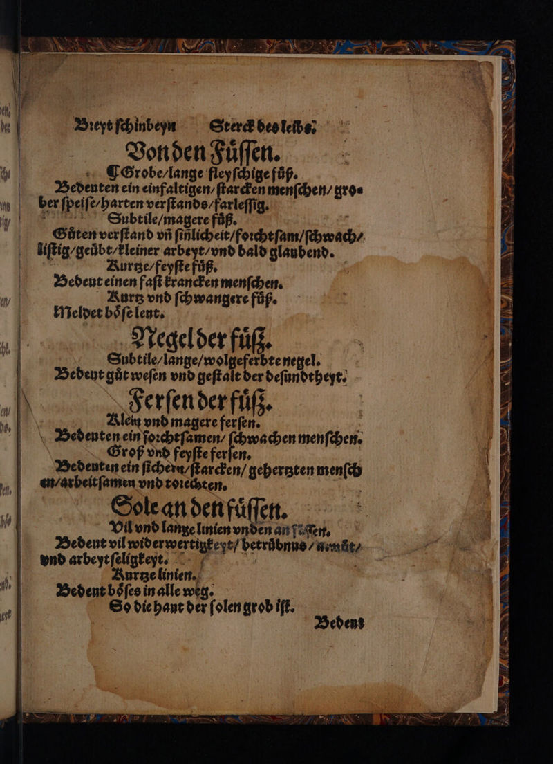 Dꝛeyt ſchinbeyn Sterck bes leib? f € Vonden Fuͤſſen. VE Grobe / lange fleyſchige fuß. | Bedenten ein einfaltigen / ſtarcken menſchen / gro⸗ m | ber ſpeiſe / harten verſtands / farleſſig. „„ Subtile / magere fuͤß. i Guůten verſtand vi ſiñlicheit / foꝛchtſam / ſchwach / liſtig / geübt / kleiner arbeyt / vnd bald glaubend. ig Aurtze / feyſte fuͤß. Bedeut einen faſt krancken menſchen. Kurtz vnd ſchwangere fuͤß. | Meldet boͤſe lent. Negel der fuͤßz. * Subtile / lange / wolgeferbte negel. 0 Bedeut gůt weſen vnd geſtalt der deſundtheyt. f } Ferſen der fuͤß. Ke Klei vnd magere ferſen. x Bedenten ein ſoꝛchtſamen / ſchwachen menſchen. Groß vnd feyſte ferſen. Bedenten ein ſicheru / ſtarcken / gehertzten menſch „em / arbeit ſamen vnd toꝛechten. Tee Soblean den fuͤſſen. 9 Vil vnd lange linien vnden an ſoſſen. Bedent vil widerwertigke yt / betruͤbnns / amũůt⸗ 2 N | vnd arbeyt ſeligkey t. ! 1 Aurtze linien. * Bedent boͤſes in alle weg. a So die haut der ſolen grob iſt.