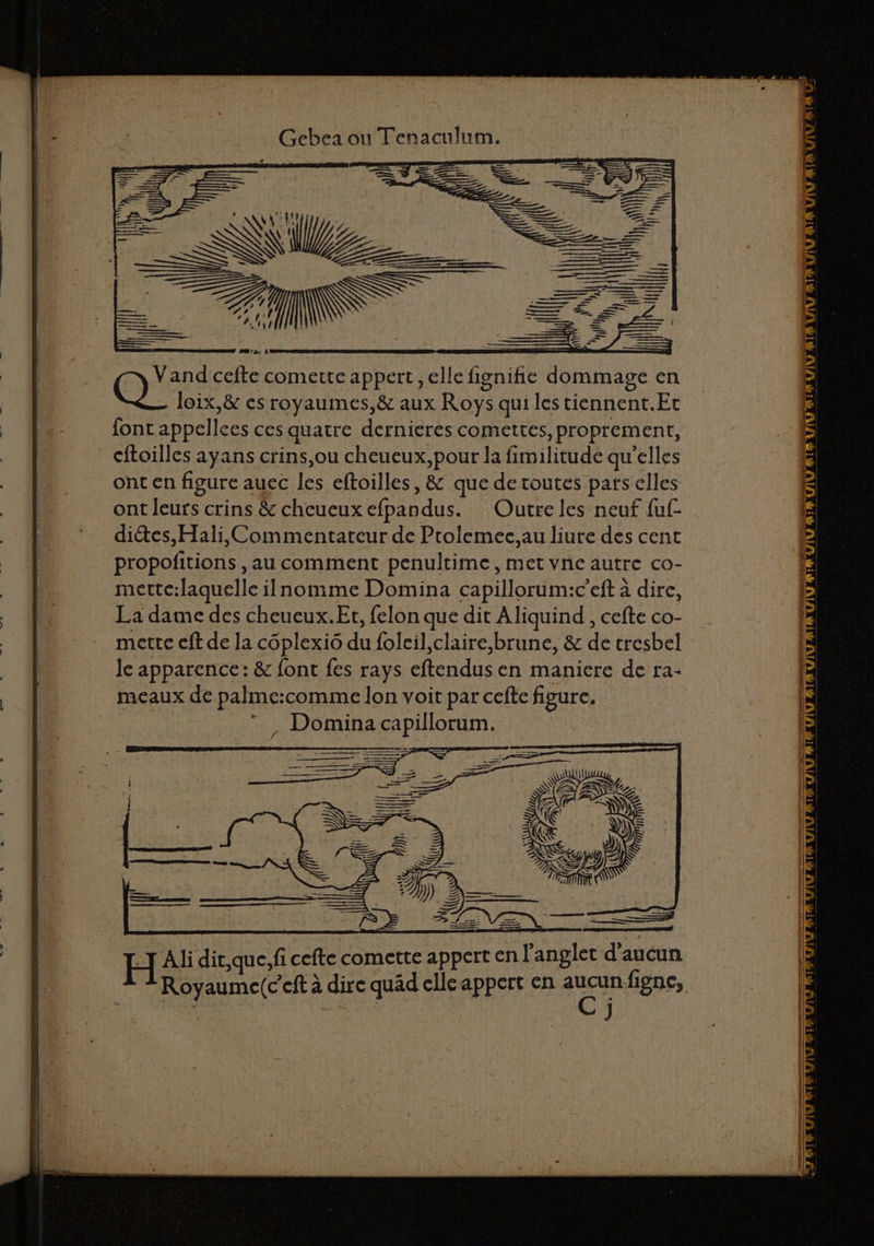 Gebea ou Tenaculum. \, a In j' fi ( 28 ‘à; Vand cefte comette appert, elle fignifie dommage en Q_ loix,&amp; es royaumes,&amp; aux Roys qui les tiennent.Et font appellces ces quatre dernieres comettes, proprement, cftoilles ayans crins,ou cheueux,pour la fimilitude qu’elles ont en figure auec les eftoilles, &amp; que de toutes pars elles ont leurs crins &amp; cheueux efpandus. Outre les neuf fuf- dites, Hali, Commentateur de Prolemec,au liure des cent propofitions , au comment penultime, met vne autre co- mettc:laquelle ilnomme Domina capillorum:c’eft à dire, La dame des cheueux.Et, felon que dit Aliquind , cefte co- mette eft de la côplexi6 du foleil,claire,brune, &amp; de tresbel Je apparence: &amp; font fes rays eftendusen maniere de ra- meaux de palme:comme lon voit par cefte figure. . Domina capillorum.
