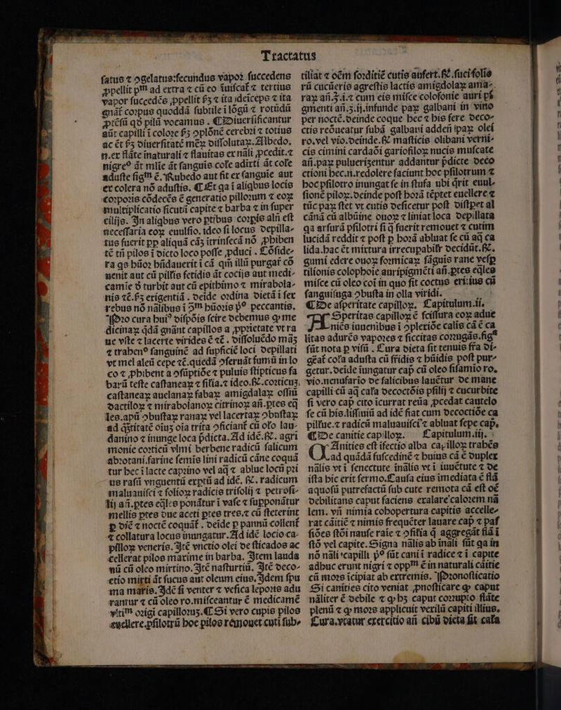 T rr nu. Iiis wm n — — IET EE —— ſatus ⁊ ↄgelatus:fecundus vapoꝛ ſuccedens ꝓpellit pm ad extra ⁊ cũ eo iuifcat ⁊ tertius vapor ſuccedẽs ꝓpellit £5 ⁊ ita ideicepo c ita gnãt᷑ coꝛpus quoddã ſubtile ĩ lõgũ ⁊ rotũdũ ꝓtẽſũ q pilũ vocamus . ¶ Diuerſificantur ait capilli ĩ coloꝛe $5 oplónc cerebꝛi ⁊ totius ac ẽt 65 diuerſitatẽ mex diſſolutaꝝ. Albedo. n. ex fláte ĩnaturali ⁊ flauitas ex nali ꝓcedit.⁊ nigreo dt mlie ãt fanguis cole adirti at cole aduſte fig! ẽ. Rubedo aut fit ex ſanguie aut er colera nó aduſtis. C Et ga i alíabue locis coꝛpoꝛis cõdecẽs ẽ generatio pilloꝛum ⁊ eox multiplicatio ficuti capite ⁊ barba ⁊ in fuper eilijs. In aligbus vero ptíbus coꝛpis alii eft neceſſaria cox: euulſio. tdeo ſi locus depilla⸗ tus fucrit pp aliquã cãʒ ĩtrinſecã nó ꝓbiben t€ tñ pilos i dicto loco poffe ꝓduci. Cõſide- ra qs hũoꝛ hñdauerit ĩ cá qm illii purgar co uenit aut cii pillis fctídie dt cocijs aut medi camie ð turbit aut cũ epithimo ⁊ mirabola^ nis ⁊c̃.ſʒ erigentiã. oeide oꝛdina dietã i fex rebus nó nãlibus i Im pũoꝛis p? peccantis. Pꝛo cura bui? diſpõis ſcire debemus ꝙ me dicinaꝝ qͥdã gnãnt capillos a ꝓpꝛietate vt ra ue vſte c lacerte virides € «€ diſſoluẽdo mà; « traben? ſanguinẽ ad ſupficiẽ loci depillati vt mel aleũ cepe ⁊c.quedũ ↄſeruãt fumü in lo co ꝓhibent a ↄſũptiõe ⁊ puluis ſtipticus fa barũ tefte caſtaneaꝝ ⁊ ſilia.⁊ ideo. fe. coꝛticuʒ caſtaneaꝝ auelanaꝝ fabaꝝ amígdala oſſiũ dactiloꝝ « mirabolanoꝝ citrinoꝶꝝ afi.ptee eq les. apũ obuftaz ranaꝝ vel lacertaꝝ ↄbuſtax ad q;titatẽ oiuʒ oia trita ↄficiant᷑ cũ oło lau. danino ⁊ inunge loca pᷣdicta. Ad idẽ. . agri monie coꝛticũ vlmi berbene radicũ ſalicum abꝛotani.farine ſemĩs lint radicũ cáne coquã tur hec ĩ lacte capꝛino vel aq̃ ⁊ ablue locũ pꝛi us raſũ vnguentũ exꝑtũ ad idẽ. . radicum maluauifci ⁊ folioꝝ radicis triſolij ⁊ petroſi- lij añ. ꝑtes eꝗ̃les ponãtur i vafe « ſupponãtur mellis ꝑtes due aceti ꝑtes tres. ⁊ cũ ſteterint p diẽ ⁊ noctẽ coquát . deide p panni collent᷑ 4 collatura locus inungatur. Ad ide locio ca: pilloꝝ veneris. Itẽ vnctio olei de ſticados ac cellerat pilos marime in barba. Item lauda nũ cũ oleo mirtino. Itẽ nafturtíu, Itẽ deco- ctío mirti dt fucus aut oleum eius. Idem ſpu ma maris. Idẽ fi venter ⁊ vefica lepoꝛis adu rantur t cũ oleo ro.miſceantur € medicamẽ vltim oꝛigĩ capilloꝛuʒ. ¶ Si vero cupis pilos hellere. pſilotrũ hoe pilos remouet cuti ſub⸗ tiliat « oẽm ſoꝛditiẽ cutis abfert. f. füci folio rũ cucũeris agreſtis lactis amigdolaꝝ ama rax añ. q. i.⁊ cum eis miſce colofonie auri pf gmenti añ. 3. ij. infunde pax galbani in vino per noctẽ.deinde coque bec ⁊ his fere deco- ctis reõueatur ſubã galbani addeñ pax olei ro. vel vio.deinde. N maſticis olibani verni- cis cimini cardaõi garíofiloz nucis muſcate añ. pax puluerísentur addantur pᷣdicte deco ctioni hec.n.redolere faciunt hoc pſilotrum ⁊ boc pfilotro inungat fe in ſtufa ubi qͥrit euul- fioné piloz.ocínde poft hoꝛã tẽptet euellere ⁊ tũc pax ſtet vt cutie deſicetur poft diſtꝑet al cáná ci albũine ouoꝝ ⁊ liniat loca depillata qa arſurã pfilotri fi d fuerit remouet ⁊ cutim ſucidã reddit ⁊ poft p hoꝛã abluat fe cũ aq ca lida. hac ét mixtura irrecupabilr decidũt. fc. gumi edere ouoꝝ foꝛmicaꝝ ſãguĩs rane veſꝑ tilionis colopboie auripigmẽti añ. ꝑtes edleg miſce cii oleo coi in quo fit coctus erts en ſanguiſuga obufta in olla viridi. ar € De afperitate capilloꝝ. Capitulum. ii. une capilloꝝ € ſciſſura eoꝝ adue nice iuuenibus i opleríóe calis cà € ca litae adurẽs vapores ⁊ ſiccitas coꝛugãs. fi füt nota p viſũ. Cura dieta fit tenuis fra ot gẽat᷑ cola adufta cũ ffidis « hũidis poft pur getur. deide iungatur cap cii oleo fifamio ro. vio. nenufarĩo de ſalicibus lauẽtur de mane capilli cũ ad cala decoctõis pfilij ⁊ cucurbite fi vero cap cito icurrat retia ꝓcedat cautelo fe cũ his. liſſiuiũ ad idẽ fiat cum decoctiõe ca pillue.⁊ radicũ maluauiſci ⁊ abluat fepe cap, ¶ De canitie capillog. Capitulum.iij. Anities eft ifectío alba cap illoꝝ trahẽs ad quãdã fuſcedinẽ ⁊ huius cà € duplex nãlis vti ſenectute ĩnãlis vci iuuẽtute ⁊ de ifta hic erit ſermo.Cauſa eius imediata € flã aquoſũ putrefactũ ſub cute remota cã eſt oẽ debilitans caput faciens exalare caloꝛem nã lem. vii nimia cobopertura capitis accelle^ rat cãitiẽ « nimis frequẽter lauare cap « paf ſiões ſtõi nauſe raĩe ⁊ ↄſilia d aggregãt flã ĩ ſtõ vel capite.Signa nãlis ab inali ftit qa in nó nãli · capilli p? ſũt cani ĩ radice c i capite adhuc erunt nigri ⁊ opp ẽ in naturali cãitie cũ moꝛs ĩcipiat ab ertremis. Nꝛonoſticatio Si canities cito veniat ꝓnoſticare ꝙ caput nãliter ẽ debile ⁊ ꝙ hʒ caput coꝛꝛupto flãte plenũ ⁊ ꝙ moꝛs applicuit verilũ capiti illius, Cura. vcatur exercitio añ cibũ dieta fit cala