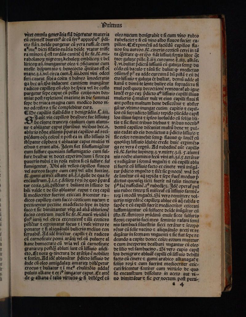 vitet omnia gerterátia flã digeratur materia eii oximelt᷑ oiureti? ãt cũ ſyrꝰ appꝛopaꝰ pdi- eto flãti.deide purgetur cü pera ruffi.ãt cum ame dicti fllatis euatia deide vtatur triffe ra minoꝛi d eft tardãs canitiẽ q fic fit. c. mi^ rabolanoꝝ nigroꝛuʒ kebuloꝝ emblicoꝝ ⁊ bel liricoꝝ aſi.inungantur oleo t oficiantur cum melle diſpumato « benecocto q̃ntitas eft oi mane.ʒ.i.vel circa cum. . iiij. boni vini odoꝛi ſeri caueat ſibi a coitu ⁊ balneo ĩmoderatis ga bcc añ tpᷣs inducunt canitiem inungãtur radícee capilloꝝ cii oleo de fpica vel de coſto purgetur fepe caput cii pillis cotijs non oor miat poft repletionẽ maxime in oie ummat fepe de triaca magna cum modico bono vi- no odoꝛifero ⁊ fic complebitur cura. | ¶ De capillis Salbádie 7 denigrãdis. C iii. O vis capillos dealbare fac liſſiuiuʒ O de cinere truncoꝝ caulium cum alumi^ ne c abláatur caput pluribus vicibus hec. n. ablutio rõne alũinis pparat capillos ad reci- piẽdum ocʒ coloꝛẽ ⁊ poft ea in ifto liſſiuio di ſtẽꝑatur caphoꝛa ⁊ abluatur caput multis vi cibus ⁊ erunt albi. Idem fiet fiſuffumigẽtur cum ſulfure quoniam ſuffumigatio cum ſul- ſure dealhat vt docet experimẽtum ĩ floꝛe pa paueris rubi ⁊ in rofa rubꝛa fi cũ ſulfure fuf fumígentur. Obi aũt velles capillos flauos vel aureos facere cum cani vel albi fuer int. g. gumi armẽi alkane añ. q .i.galle de qua fit encauſtrum 3. i.⁊. f. folioꝝ roʒi de quo ppard tur coꝛia. 3. iij.piſtẽtur ⁊ buliant in liſſiuio de bili valde ⁊ de illo abluatur caput ⁊ cuʒ capil li mediocriter fuerint exiccati fricentur ra- dices capilloꝝ cum ſucco coꝛticum nucum ⁊ pectinentur pectine madefacto ſepe in dicto ſuco ⁊ fic dimittantur vſqʒ ad aliã ablutionẽ ſucus coꝛticum nucũ fic fit.. nucũ viridiũ t pn? iunij vel circa excoꝛticent᷑ ⁊ illi coꝛtices piſtẽtur ⁊ expꝛimatur fucus ⁊ i vafe vitreo re ponatur ⁊ fi aliquãtulũ bulieris melius con ſeruabi. Ad idẽ fricẽtur capillí ẽt radices cũ carnoſitate pomi arãtij vel cũ puluere al kane humectato cũ vrĩa vel cũ carnoſitate granatoꝝ poſtq; abluti (unt cà liſſiuio añdi- cto. Et nota ꝙ tinctura de arãtijs ẽ nobilioꝛ & ſoꝛtioꝛ. Ad idẽ ablauãtur pdicto liſſiuio de inde cti oleo amigdalaꝝ amaraz oíftepetur crocus ⁊ buliatur ⁊ i me? ebulitiõis addaf puluis alkane ⁊ er i? ĩungatur caput. Et attẽ oleo hucum denigrabit ⁊ fi cum vino rubꝛo rubefaciet ⁊ fi cii vino albo flauos faciet ca- pillos. ¶ Exꝑimẽtũ ad faciẽdũ capillos fla- uos feu aureos.¶. cineris coꝛticũ cerri in tà ta ꝙ titate ꝙ ex ip̃o fiat liſſiuij foꝛtis libꝛe qt tuo? galuse piſte. J. (ii. curcume.. iiij. alkãe. 5. vi.buliat pdictü liſſiuiũ cũ galuʒa femp du cẽdo cii baculo ⁊ tãtũ fic buliat ꝙ medietas ↄſũmet᷑ p? ea adde curcumã bñ piſtã ⁊ cii di cto liſſiuio ⁊ galuʒa ét bulliat. demũ adde al kanã « dimitte lente bulire oĩa ſupꝛadicta (i mul poſt quoꝝ decoctionẽ remoueat᷑ ab igne lauct ergo cu5 pᷣdicto a? liſſiuio capilli illius mulieris d mulier vult vt eius capilli flaui fi ant poftea multum bene deſiccẽtur ⁊ abſter gatur.vltimo inungat cutim capitis ⁊ capil/ los cii ſupꝛadicto liſſiuio tepido plicãdo capil los illius ſupꝛa ⁊ ipſos ĩuoluẽdo cũ folie bli tis ⁊ fic flent tribus diebus ⁊ tribus noctibꝰ oem capillos diſcutiat multũ bene vt pul- uis cadat ab eis derelictus a p̃dicto liſſiuio c fic colo remanebit femp flauus q» lauct cis qa re vera C exꝑtũ. Ad rubedinẽ aũt capillo rũ. N. far ine lupinox.5.v.mirre.5.ij. S. alumi nis roche aluminis fecũ vini añ.ʒ.i.ꝗ.terãtur ⁊ redigãtur i ſoꝛmã vnguẽti ⁊ ci capillí ablu ti fuerit cii liſſiuio facto ex cinere vitũ ínügà. tur pdícto vnguẽto « ſtẽt fíc p nocté vnã oei de lauẽtur cü aq tepida « fepe fuef modus p dictue quouſq; ticti fnerit nã talis tínctura p? fac ruffedinẽ. 20 rubedies. Idẽ operat᷑ pul uis rubee tintoꝝ fi miſceat᷑ cũ liffiuio ſarmẽ- tox i modii vnguéti. Si vero remittere voL ueris nigredinẽ capilloꝝ ablue cii ad calída ⁊ ſapõe « cũ capilli fnerit mediocriter exiccati ſuffumigentur c ſulfuere oeide inũgãtur cũ iſto. N. ſtercoꝛis prũdinũ enule ſicce ſulfuris floꝛuʒ caparis fuci mes femínis rafani femi nis fambuci ſilueſtris ſicci terãtur ⁊ ĩcoꝛpo rẽtur cũ felle vacino ⁊ aliquãtulo aceti vt re digãtur in foꝛmam vnguenti ⁊ ſic fiat ſepe re deundo a capite donec colo? eoꝛum mutetur ⁊ cum inceperint dealbari vngantur cũ oleo de lilio vel ſambucino. Si vero cupis capil los denigrare abluãt᷑ capilli cũ liſſuio debilli facto ci cinere ⁊ gumi arabíco alkanagat᷑ ⁊ folijs roʒi ⁊ cum fuerint mediocriter exic- cati fricentur foꝛtiter cum vitriolo de quo fit encauſteum diſſoluto in aceto aut vi. no dimittãtur ⁊ ſic per noctem. poft pecti- 44