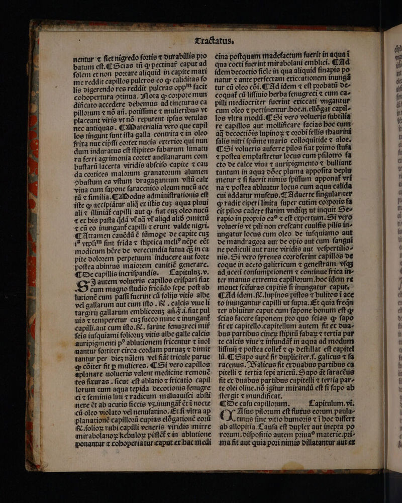 nentur ⁊ fiet nigredo foꝛtis € durabillis po batum eſt. C Scias tfi ꝙ pectinar̃ caput ad ſolem et non poꝛtare aliquid in capite maxi me reddit capillos puleros eo ꝙ caliditas fo lis digerendo res reddit pulcras opp? facit cobopertura otínua. Mota ꝙ coꝛpoꝛe mum dificato accedere debemus ad tincturas ca pilloꝛum « nó afi. potiffime ⁊ mulieríbue vt placeant viris vt nõ reputent ipſas vetulas nec antiquas. C YMaterialia vero que capil loe tingunt funt iſta galla contrita ⁊ in oleo frira nur cipffi coxter nucis exterioꝛ qui nun dum induratus eft ftipitee: fabarum ſimatu ra ferri agrimonia coꝛter auellanarum com buſtarũ lacerta viridis abfcifo capite ⁊ cau da coꝛtices maloꝛum granatoꝛum alumen ↄbuſtum es vſtum dragagantum vſtũ calx viua cum ſapone ſaracenico oleum nucũ ace tũ ⁊ ſimilia. C Modus adminiſtrationis eft ifte ꝙ accipiãtur aliq ex iſtis cuz aqua pluui ali ⁊ illiníat capilli aut q» fiat cuʒ oleo nuc € er his pafta dd vf aã vt aligd alió ↄmixtũ 4 cũ eo inungant᷑ capilli c erunt. valde nigri. «4T Attamen cauẽdũ € ſũmoꝑe oe capite cus ia vtplim fint frida ⁊ ſtiptica meli? nẽpe ect modicum bére de verecundia fatua à in ca pite doloꝛem perpetuum inducere aut foꝛte poſtea abintus maioꝛem canitiẽ generare. ¶ De capillis incriſpandis. Capitulnz. v. Z autem volueris capillos crifpari fiat O cum magno ftudio fricãdo fepe poft ab lutionẽ cum paſſi fucrint cá folijs vitis albe vel gallarum aut cum ifto . f . calcís vue li targirij gallarum emblicoꝛuʒ afi . i.fiat pul uis c temperetur cus fucco mine ⁊ inungant capilli. aut cum iſto. N. farine fenugreci mir fei iuſquiami folioꝛuʒ vitis albe galle calcis auripigmenti p? ablutionem fricentur ⁊ iuol nantur ſoꝛtiter circa coꝛdam paruaʒ ⁊ dimit tantur per dieʒ nãlem vel fiãt tricule parue ꝙ cõiter fit p mulieres. ¶ Si vero capillos aplanare uolueris valent medicine remouẽ tes firxuras. ficut eft ablatio z fricatío capil lorum cum aqua tepida decotionis fenugre ci ⁊ feminis lini ⁊ radicum maluauifci abſti cũ oleo violato vel nenufarino. Et ſi vltra ap planationẽ capilloꝛũ cupias elõgationẽ᷑ eoꝛũ e. folioꝝ rubi capilli veneris viridis mirre mir abolanoꝝ kebulox piſtẽt᷑ ⁊ in ablutione ponantur ⁊ cohoperia tur caput ex hac medi — — . nn — eina poftquam madefactum fuerit in aqua i qua cocti fuerint mirabolani emblici. C Ad idem decoctio ficle in qua aliquid ſinapis po natur ⁊ ante perfectam ericcationem inungã tur cii oleo cõi. C Ad idem ⁊ eft pꝛobatũ de- coquat cii liſſiuio berba ſenugreci ⁊ cum ca- pilli mediocriter fuerint exiccati vngantur cum oleo ⁊ pectinentur. hoc. n. ellõgat capil los vitra modũ. C Si vero volueris fubtilia re capillos aut mollificare facíae boc cum ad decoctidis lupinoꝝ ⁊ oꝛobi ſellis thaurini falis nitri ſpũme maris colloquĩtide ⁊ aloe. ¶ Si volueris auferre pilos fiat primo ſtufa ⁊ poftea emplaſtretur locus cum pfilotro fa cto de calce viua ⁊ auripigmento ⁊ bulliant tantum in aqua dõec pluma appoſita deplu metur ⁊ fi fuerit nimis ſpiſſum apponaf vri na ⁊ poſtea abluatur locus cum aqua calida cui addatur muſcus.¶ Aduerte ſingulariter ꝙ radir ciperi linita fuper cutim coꝛpoꝛis fa Cit pilos cadere ftatim vndiqʒ ut inquit Se- rapio in pꝛopꝛio ca? « eft erpertum. Si vero volueris vt pili non creſcant euulſis pilis in- ungatur locus cum oleo de iuſquiamo aut de mandragoꝛa aur de opio aut cum ſangui ne pediculi aut rane viridis aut vefpertilio^ nis. Si vero ſyrenes coꝛroſerint capillos de coque in aceto galítricum c geneſtram vſqʒ ad acetí conſumptionem « continue frica in- ter manus ertrema capilloꝛum. hoc idem re mouet ſciſuras capitis ſi inungatur caput. ¶ Ad idem. fc. lupinos piſtos ⁊ bulitos i ace to inungantur capilli ut ſupꝛa. Et quía freqͥn ter abluitur caput cum ſapone bonum eft ꝙ ſcias facere ſaponem pꝛo quo ſcias ꝙ ſapo fit et capitello.capitellum autem fit ex dua⸗ bus partibus cineꝝ ſtipitũ fabaꝝ ⁊ tertia par te calcis viue ⁊ infundat in aqua ad modum liſſiuij ⁊ poſtea collet᷑ ⁊ ꝙ deſtillat eft capitel lũ. ¶ Sapo auté fit dupliciter.ſ. galicus ⁊ fa racenus. Balicus fit erouabus partibus ca pitelli c tertia ſepi arietũ.Sapo ãt ſaracẽus fit er duabus partibus capitelli ⁊ tertia pare te olei olíue.nó igitur mirandũ cft fi ſapo ab ſtergit ⁊ mundificat. f et Aſus piloꝛum eft fluxus eoꝛum paula- tinus fine vitio humoꝛis ⁊ i hoc differt ab allopitia. Cauſa eft onpler aut inepta po roꝛum. diſpoſitio autem priua? mater ie.pꝛi- ma fit aut quia poꝛi nimis dillatantur aut ex — ——