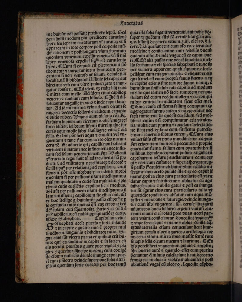 — me buiu modi poſſimt pꝛedicere lepꝛã. Sed per alium modum pfit predicere curatione lepre feu lepram curaturam vk curataʒ vt fi appareant in toto coꝛpoꝛe poft coꝛpoꝛis mu- dificatíonem ⁊ poft longam vfum fpentum quoniam venenum erpellit venenu vn fima lepre venenofa erpellat fig eft curationis lepꝛe. C Cura fi coꝛpus eft plectoꝛicum flõ thometur purgetur iuxta bumoꝛem pec cantem fi non ventoſetur ſolum deinde fit localia. nã fi diſoluatur i liſſiuio fel capre aut birci aut vrfi cum vitro pulueriʒato Inu gatur confert . ¶ Ad idem v5 radix lilij trita ⁊ mixta cum melle Ad idem cinis capilloꝝ veneris ⁊ caulium cum liſſiuio. ¶ Itè fi dif- ſoluantur anguille in vino « inde caput laue- tur. Ad idem mirtus vrina thauri oleum fe nugreci decoctio foliorũ ⁊ radicum canapis ⁊ blitis rubee. Dnguentum tñ ſatis cõe. c. farinam lupinorum cicerum oꝛobi fenugreci fucci blitis. ſolioꝛum fifami mirti malue fur euris aque molle fabꝛi ſtafiſagrie vitro ⁊ oia fella. Ex his pót fieri aqua c emplm vel vn» guentum ⁊ tunc fiat cum aceto oleo nucum cera «€. Et aduerte ꝙ lʒ capilli non babeant virtutem innatam nec influentem nec influ- ram fed folum generationem m Balienũ ꝛctractatu tegni funt tii ad tres ſies a na pro ductí.f. ad vtilitatem neceſſitateʒ ⁊ decoꝛẽ ⁊ fic iſta pa? per relationeʒ ad capilloꝛuʒ amiſ fionem pót effe moꝛbus ⁊ accidens moꝛbi quoniam fi per paſſionẽ iftam intelligamus malam qualitatem cutíe feu malitiam ople xioníe cutis euellẽtis capillos fic ẽ moꝛbus. Si aũt per paſſionem iſtam intelligamus il lam am iſſionez capilloꝛum fic eft accñs. Et er hoc itellige ꝙ huiuſmõi paſſio eft pꝛio ⁊ p fe egritudo cutis quonia dfi eaʒ excoꝛiat red dꝰo ipfam cuti fquamofas. farío ⁊ ex ontte pa? iapilloruʒ cii cadit pp fqmatioes cutis. ¶ De Sahaphati. Capitulum.viiij Ahaphati accit pueris ⁊ foꝛte infantie LS] ⁊ in capite ⁊ gnãtio eius € pꝛopter mul titudinem. ſanguinis ⁊ büíditates cutis. Si- gna eius ſũt vlcera parua er quibus exit hu⸗ moꝛ qui expanditur in capite ⁊ in facie ⁊ ct eis accidit pꝛuritus quare puer vigilat plà git « ↄqueritur. Incipe in eoꝛuʒ cura coꝛꝛigẽ do cibum nutricis deinde inunge caput pue- ri cum pfilotro deinde fuperpone folia attri plicis quoniam ſoꝛte curatur per boc tantũ quía iſta folia fugant venenum. aut porte 6e« fuper vnguẽtum iſtð fiz.cerufe litargirij añ. 3. v. liſſiuij de cinere vitium. . ij. olei ro. 5. i. cere. . i.liquefiat cera cum oło ro.⁊ terantur medicine ⁊ conficiantur cum vitellis duoꝛũ ouoꝛum aſſis.demde vngue cũ eo caput pue ri. Eſt alia paſſio que vocat fauoſitas mel» lis ſeu fauus ⁊ eft fpecies ſahaphati « tunc ſu per vulnera apparent quafi ſquame c ſcal⸗ pellãtur cum magno pꝛuritu ⁊ eliquat ex eis quafi mel.eft enim pꝛopꝛie fanus fluens a cu te capitis eríene fine tumoꝛe.fauus namq; € humiditas ſpiſſa fub cute capitis ad modum mellis que tamen nõ facit tumoꝛem nec pu- ſtulam ſed cutim reddit mollem ⁊ cũ compꝛi mitur emittit h miditatem ficut effet mel, C Eius caufa eft flema falfum coꝛꝛuptum ge aggregatur ſuptus cutem ⁊ nó egreditur nec facit tumoꝛem de quo fit curãdum ſed mol lificat cutim tfi compꝛimatur erit virulen- tía multa cum pꝛuritu ⁊ quadam delectatio- ne ficut mel er fauo cum. fit flema putreſa⸗ ctum i cauernis fubtus cutem . ¶ Cura eius vniuerfalía eft vt pꝛius mundificetur coꝛpus fm erigentiam humoꝛis peccantis ⁊ pꝛopꝛie euacuetur flema falfum cum oyatuibitb ⁊ fi milibus.deinde accipiatur puluis vngullarũ capꝛinarum teſtaruʒ auellanarum coꝛnu cer ui ⁊ coꝛticum caftanee ⁊ fuper aſpergatur. q- fi paſſio i*caufétur ab humoꝛibus calidis mi ſceatur cum aceto puluis iſte ⁊ ex eo capnt If niatur.poſtea eius cura particularis eſt vt ra datur caput fcaríficetur ⁊ abluatur cii agg infracſeriptis ⁊ abſtergatur ⁊ poft ea inunga tur fit ígitur eius cura particularis talis vt quottidĩe tondatur ⁊ abłarur cum aqua me» taſtri ⁊ maioꝛane ⁊ ſaturegie.deinde inunga⸗ tur cum ifto vnguento. K. ceruſe litargirij reum unum olei roſati ptes duas aceti par» tem vnam.conficíantur donec fiat vnguend ⁊ vnge ſero caput « mane ⁊ ablue cũ illa aq. CM aterialia etiam conueniunt ficut litar- girium ceruſa aloes agaricus ariſtologia coꝛ nu cerui vftum.mírra thus maftir ſemẽ rute ſinapis fella oleum nucum ⁊ laurínus . ¶ Ex his poteft fieri vnguentum puluis ⁊ empłm. In pueris autẽ ⁊ quando eſſet cum pꝛuritu ponantur d minus caleſaciunt ficut decoctio fenugreci maluarũ violaꝝ maluauiſci ⁊ poſt ablutionẽ vngaf cũ oleo ro. ĩ quo ſit cãpho⸗