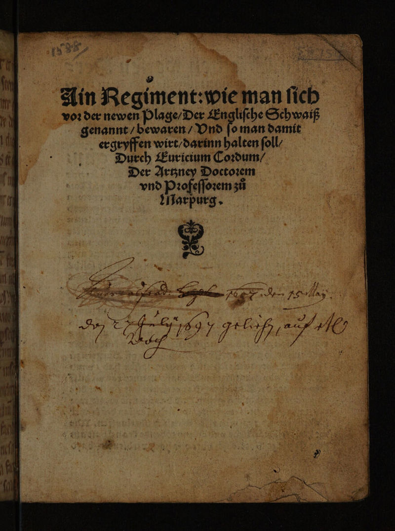 „ 3 ; %n Ä er * Ain Regiment: wie man ſich voꝛ der newen Plage / Der Engliſche Schwaiß A genannt / bewaren / Vnd ſo man damit ergryffen wirt / darinn halten ſoll ? Durch Euricium Coꝛdum / Der Artzney Doctoꝛem vnd Pꝛofeſſoꝛem zů arpurg.