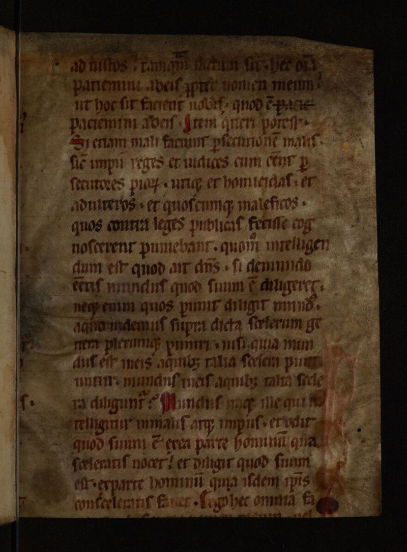 | peng Bay E ur de. 8 u Sam ma 1 im fie imp lige er gte wum in D m — | Kae: 1 u et hon 1010 Nah: et ADD er guofen 1 maleficc gquuos anna leges pubucaſ gene a. og . dl pumeba cn n m lugen um quod a Ar d. mum hir — munduf gu 180 um e ug 5 N neq; cmm quos bm mug m daß maem uſ ſupm dick 2 5555 gt Im per up a Ha mun auf ef ine ess, ub; n em pum umme bin amub; mn de uugunk: . m ra 5 m ne qui age 11” mm Far imp ii; et vuu god ſunm Ferca parte he | 7 fire 1 En Let d. 4 bean E . hom ur ! ma ai Merle mm 1 l 3 2