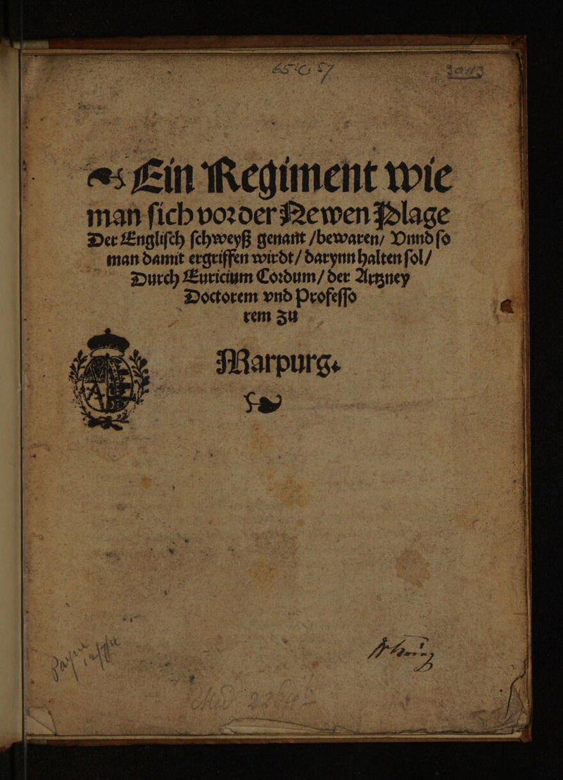 Ein Regiment wie man ſich voꝛder Newen Plage Der Engliſch ſchweyß genant / bewaren / Vnnd ſo man damit ergriffen wirdt / darynn halten ſol / Durch Euricium Coꝛdum / der Artzney Diaoctorem vnd Profeſſo 5 rem Zu 9 : 8 Se Be wur 8 &gt; a * RENT — EN: EEE DIE 8 SET . 33 2 AAA ⁵—— — Be RR 5 Ff. NERE SINBETERE — 2 — — — 2 = — ini Si — een — =