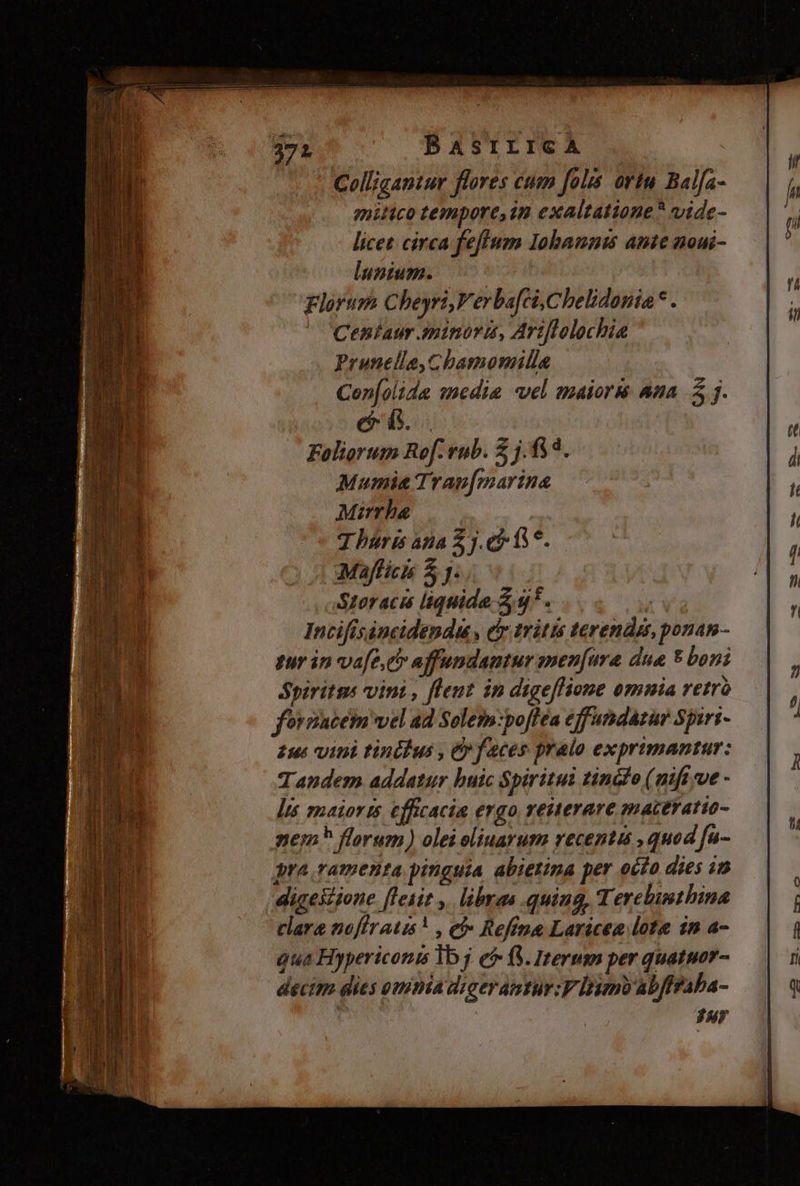 371 BASILICA Colligantur flores cum fols ortu Balfa- mitico tempore,in exaltatione? vide- licet circa feflum Iohannis ante noui- lunium. ^0 Florum Cheyri,Ferba[ci,Chelidonia * . Centaur minori, Ariflolochie Prunella,cbamomilla Cen[olida medie «vel maior Ana. j. e Foliorum Rof. rub. 2 j.$3*. Mumia Tran[marina Mirrhba J hurts apa 5j. c) (S5. Mafficks 53. Storacas liquide S 4*. | Incifisáncidendu., cr tritis terendas, ponam- qur in vafe ci» affundantur men[ura due * boni Spirits vini, flent in digeflione omnia retro forzacem wel ad Solem:poffea eff undazur Spiri- £1 vini tintius , C faces pralo exprimantur: Tandem addatur buic Spiritui tinclo (nifi ve - lis pnaior ts. efficacia ergo, reiterare macttatio- nem florum) olei eliuarum recentis , quod fu- gra ramenta pinguia abiezina per ocfo dies in digestione [leiit . libras .quiug, Terelinthina clare noffratis* , ei- Refine Laricea lote in a- qua Hypericonis lb j ef f. Iterum per quatuor- decim dies omnia diger antur: Iano ab/fraba- JAY