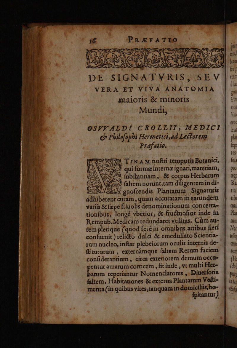 PanEsrFATIO MOST teepam en ene N nene 3 y . à m yo N $o C aM s $ E i / pi lj (o RES, i1it 7 dius D) pres 4 A b: / ue dui n ES * OSVFALDI CROLLIT, MEDICI C Philofophi Hertnetici, ad Lectorem Praefatio. 7( T INA M noftri tempotis Botanici, / qui formz internz ignari,materiam, (abftantiam ,..&amp; corpus Herbarum 3 faltem norunt,tam diligentem in di- gnofcendis. Plantarum , Signaturis ram , quam accutatam inearundem vatiis &amp; fpe friuolis denominationum concerta- tionibus, longe vbetior, &amp; fru&amp;tuofior inde in | Reipub.Medicam tedundaret vtiliras, Ciim au- tetn plerique (quod fere in omnibus artibus ficri coníueuit ) relidto dulci &amp; emedullato Scienua- rum nucleo, inftar plebeiorum oculis internis de- ftitatorum , externamque (altem Rerum faciem confiderantium , circa extetiorem demum occtr- pentur amarum corticem , fit inde , vc multi Her- barum reperiantur Nomenclatores , . Diuerforía faltem, Habitationes &amp; externa Plantarum Vefti- menta (in quibus vires,tanguam in domiciliis;ho- fpitantur)