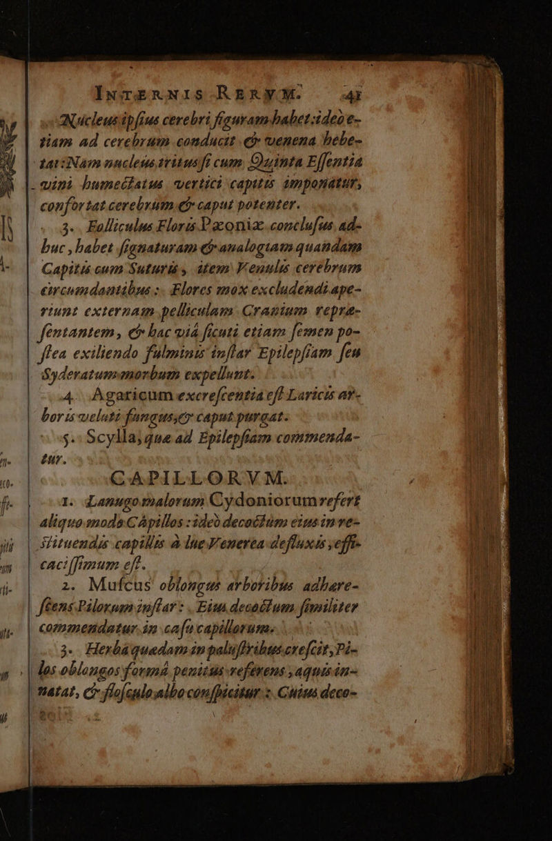 Nucleus ipfius cerebri frguram babet :ideoe- W/ | tiam ad cerebrum conducit € tuenena bebe- 0 | ariNam nuclemustritus Jue cum. Ouinta Efjentiá - fuii bumecdatus vertici capitis amponattr, confortat cerebrum efr caput potenter. ^ |. 3. Falliculus Floris Paconia.conclufus, ad- | buc, babet fignaturam ey analogiam quandam is | | Capit cum Suturi , atem Fenuulis cerebrum | emcumdantibus :. Flores mox excludendi ape- ruunt externam pelliculam Grapium vrepra- | fentantem , ci bac via ficuti etiam femen po- | fea exiliendo fülmini inflar Epilepfiam feu | Syderatum morbum expellunt. 4. Agaricum excrefcentia eff Laricts av- boris ueluti fanaussey caput purgat. | 0$. Scylas que ad. Epilepfiam commenda- 7 £u. THES E CAPILLORVM. f. poo. ZLasugotalorum Cydoniorumrefert | Aliquo.smods CApillos : 3deà decoédum eius in ve- | zizuendis capillis à ine Venerea deftuxis yefft- | eaci[fimum eft. 1i- | wc oblongus arboribus. adbare- | | rw Pilorpan inflar : Eit decal um. fimiliter commendatur in can capillorum. 3. Herbáquedam in paluffribaere[cit, Pi- los oblangos forgé penitus vefenens aquis ón- | HAfAL, CI fof quonlbocon(picitar 2. Chis deco- / SE Ula