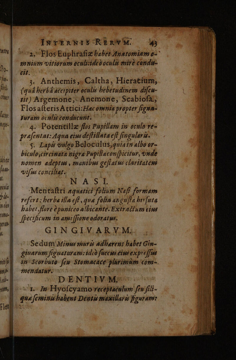 XI o. firi. (Illic [et UN ME | IS TtRWISORERYVM — 345 2, Flos Eaphrafiz abet Apatomiam o-^ «nium vitiorum oculisideo oculi mire condu- novos J 3. Anthemis ,« Caltha, Hieratium, (quà berba accipiter oculis beberudinem difcu- 15i?) Argemone,;- Anemone,; Scabiofa;, Flosafteris A ttici:Hecompnia propter figna- guram oculis conducunt. 7 4. Potentilla fos Pupillam im oculo ve- prafentas: Aqua eius deffillata eff frmgularis. $. Lapis onlgo Beloculus,4u/415 albo or- biculoycircinata nigra Pupillacon[picitur, tnde nomen adeptus , manibus geflatus claritatem vifus conciliat. NASI Mentaltri aquatic? folium Naff formam refert ; herba illa eff , qua folia ap quta biv[uta babet. flore epuniceo albicante- Extratcium eiu fpecificum 1n ami[fiope odoratus. GINGIVARY.M,