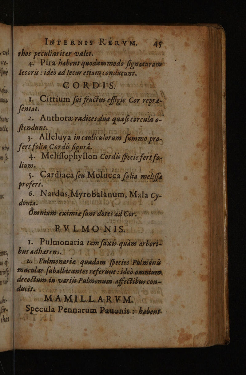ul |. sbos peculiariter vAlet. Ite. 4. Pira babent quodammado ffematuram: jm | Jecorz : ideo ad Iecur etiam condhueuzt. | DU QC OR'BCES. [73 hi 1, .Citrium fui fruchusefffcie Cor repras. fentat. bu| 2. Anthorzradicesdua quafi cercula o-. (a ffenduuz. | ifa bad , | 5 Alleluya i» eauliculorum [umma pro- 1 nin | ferz folia Cordi figura, aru WP | (| 4 Meliflophyllon Corda fece fert fos M | Kun. | SAM Yo Mo t ig | $. Cardiaca/eu Molucca folia meliffa 4] prefere ET uM y |. 6. Nadás;Myrobalànum, Mala Cy- ji | Üprnitih exiprie funi détes'ad Cor. i» | | , n |o LOM-QSN LS. i | ij | r. Pulmonaria zz» Jaxis-quàm arboris Jd ius, | bus adbarens.) | | al Ta | 25 o Phulmnonarie quadam fpecies Phülmidnis 2 l jii | maculae (abalbicantes referunt : ideo.omtimm. | 4 . | eM in variu-Pulienun-affettibuscon- quae d | 44€. WX 1s | M.A M LLLA. RV. M; Specula Pennarum Pauonis :: babent. ij- a rhet |