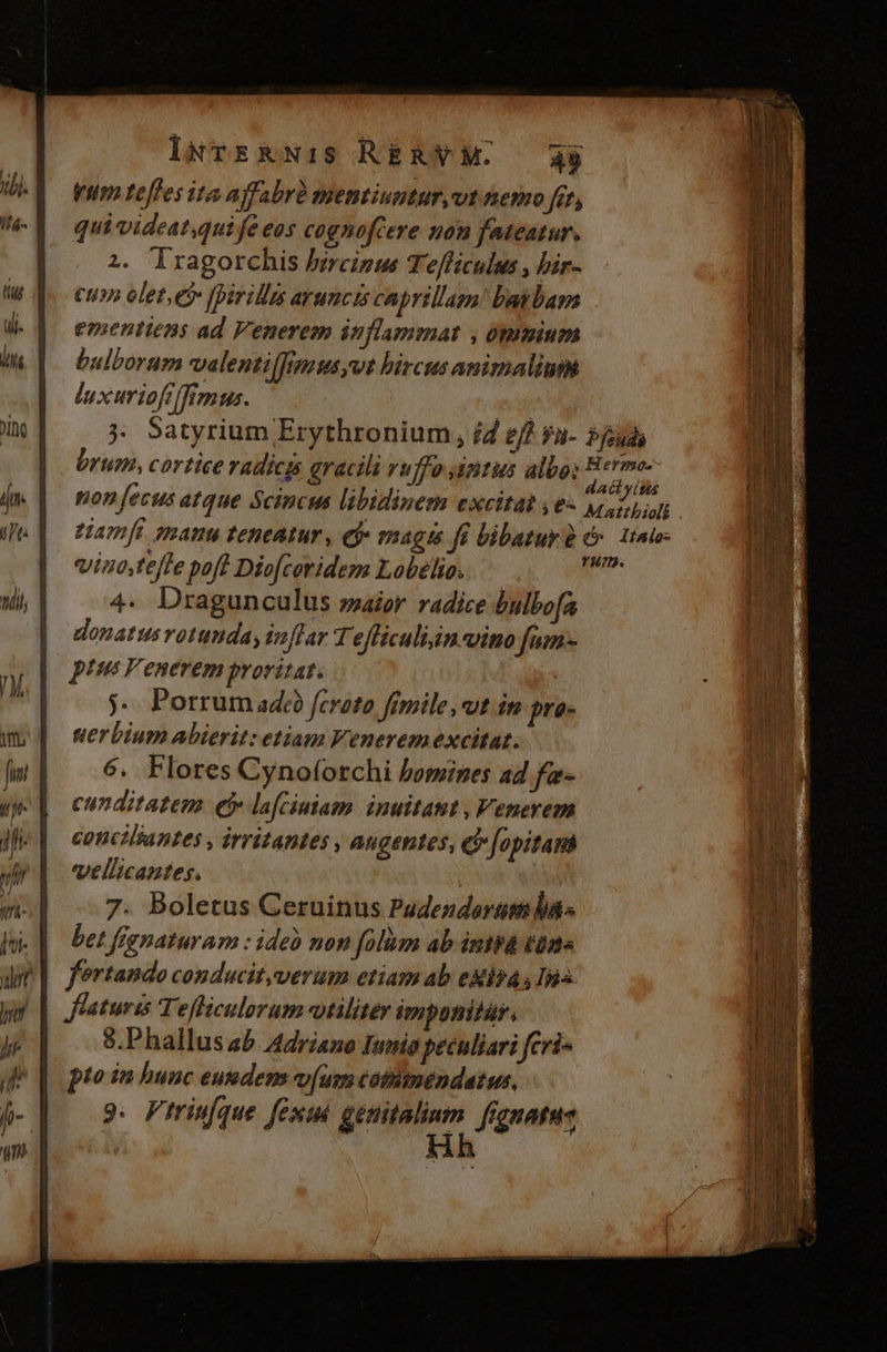 pum teffes ita affabrü mentiuntur,vt nemo y27 qui videat,qui fe eos cognofcere non fateatur, 2. lragorchis bzrcizus Te/ficulus , bir- Cu» olet,et fpiridlzs aruncis caprillam barbam | ementiens ad Venerem inflammat , omnium bulborum valentil]iamusyut hircus animalium luxuriofrffimus. -— 5 Satyrium Erythronium, í4 f) fa- $joud, brum, cortice radicis gracili vuffo jdintus albo: D dU non fecus atque Scincus libidinem excitat , e- c An tiamft sgmanu teneatur , ej magis fi bibatur iae viuo,teffe poft Dio[coridesy Lobélio. mo 4. Dragunculus ssaior radice bulbofa donatus votunday inflar Tefficulisn uino fam- ptus Feneremproritat. j. Porrumado fcrato fimile, vt im pro- uerbium abierit: etiam Venerem excitat. 6. Flores Cynofotchi bomines ad fa- cunditatem eb lafciuiam inuitaut , Venevem conciliantes , irritantes , angentes, Q[opitam ellicantes. | 7. Boletus Ceruinus Padendorum bas | bet ffgnaturam : ide mon folum ab intra €02« ||| fertando conducit,verum etiam ab ekisa s Ins flaturis Tefliculerum vtilitér imponitur. | &amp;.Phallusab Adriano Inno peculiari feri- pto in huuc eundem víum catiüimendatus, 9. Firiufque fex disait fignatus