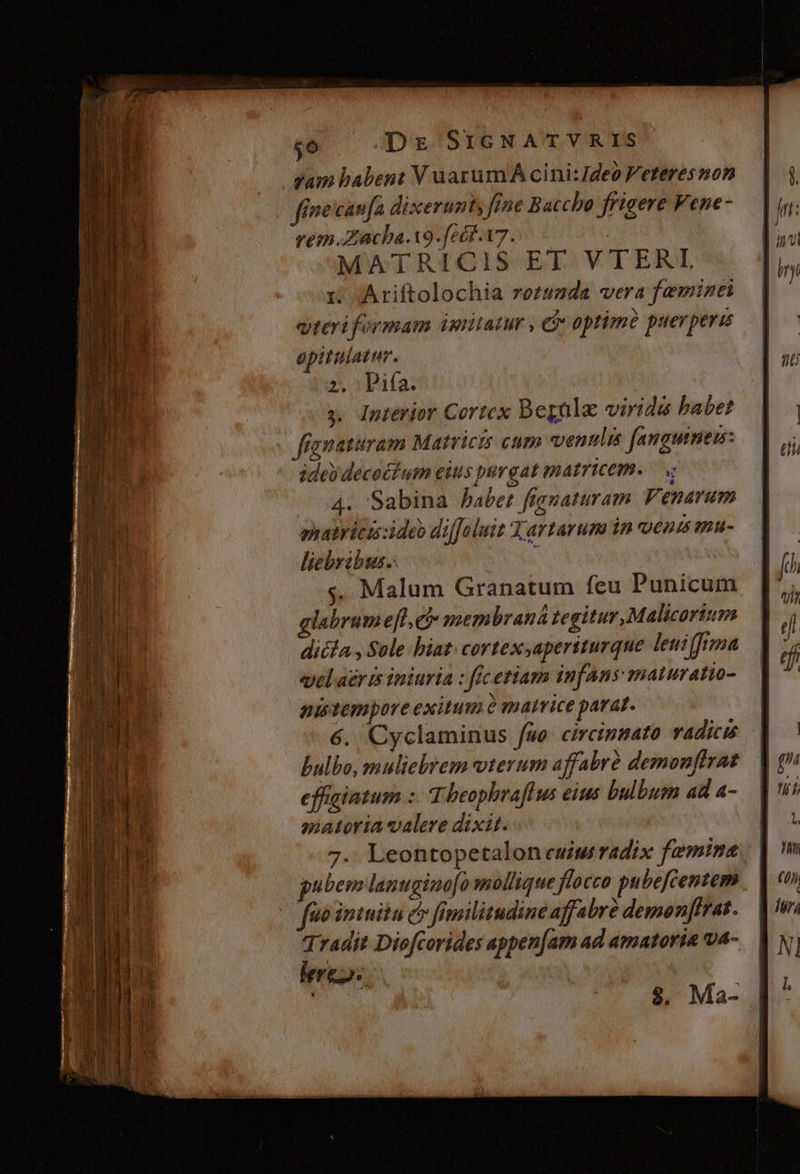 $e Dg SIGNATVRIS yam babent V aarumA cini: Ideo Veteresnon féne'canfa dixerunty fne Baccho frigere Vene- rem .Zacha.19.-fecr.v7. : MATRICIS EL. VTERI 1 Ariftolochia rozuzda vera fewinei vteri formam imitatur , e optime puer pert opitulatur. 2. : Pifa. | y. Interior Cortex Begnla viride babet fígnaturam Matricis cum venis fanguinem: ide) decectum eius purgat matricem. v 4. Sabina babet fignaturam. Venarum shyatricu ideo diffoluit Y artavum in ena mu- liebribus.: 5$. Malum Granatum feu Punicum labrume[l. ec membraná tegitur, Malicorium dicla , Sale biat: cortexsaperiturque leui fra velaeris iniuria : fic etiam infans maturatio- pistempore exitum à matrice parat. | 6. Cyclaminus fae circinsato vadicis | bulbo, muliebrem vterum affabrà demonftrat effigiatum :- Theophraflus eius bulbum ad a- materia valere dixit. 7. Leontopetalon euim radix famine pubem lanugino[omollique flocco pu befcentem fuo imiuitu cv fimilitudine affabre demonftrat. Tradit Diofcorides appen[am ad amatoria va- lere». : $9. Ma-