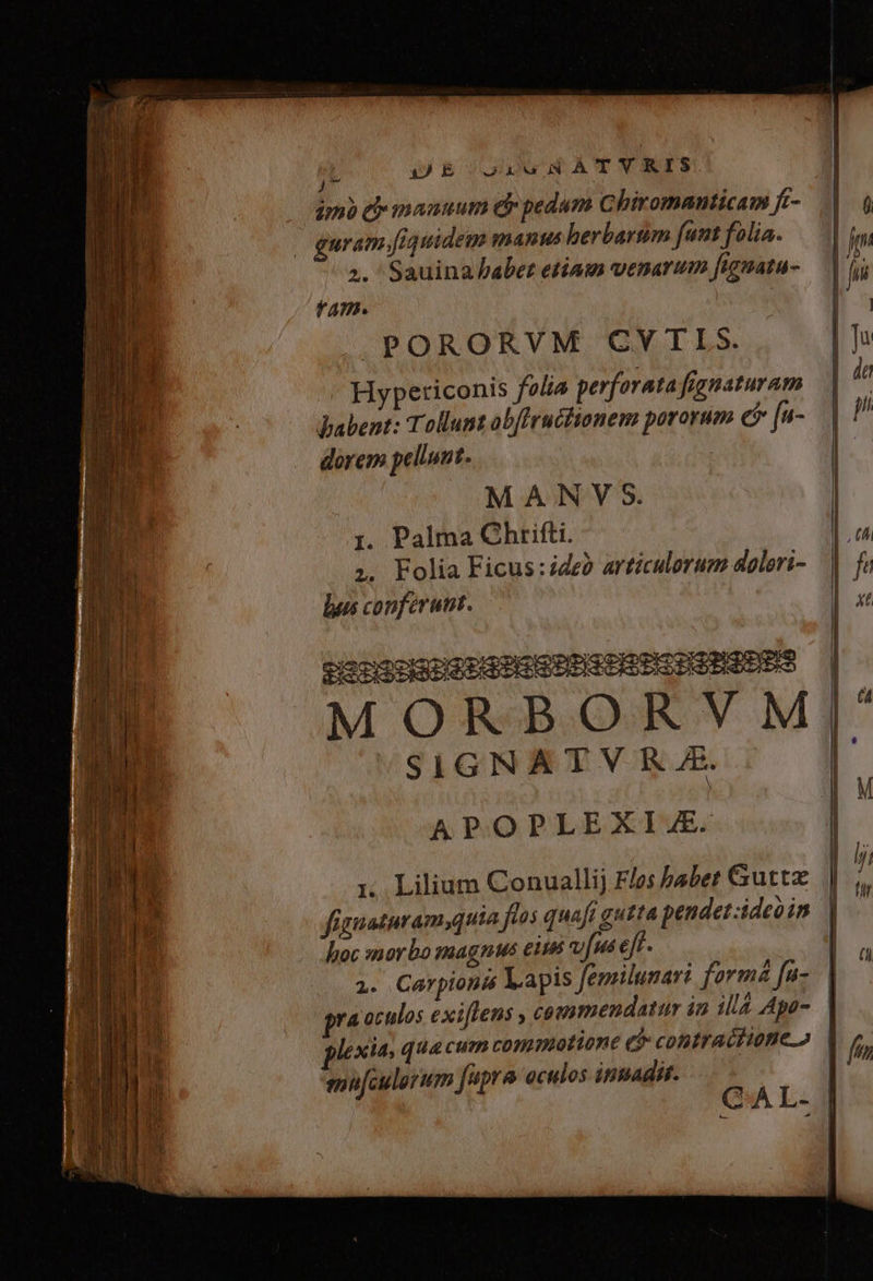 jJ x E Jaw wNÀTYKIS imo eb manuum er pedum Chiromanticam ft- | guram fiquidem manus berbartim funt folia. ^. Sauina haber etiam venarum fignatu- fam. »PORORVM CVYTLIS. Hypericonis folis perforata figuaturam Babent: Tollunz obfiructionem pororum e$ fa- dorem pellunt. M A N V S. 1. Palma Chrifti. ?;. Folia Ficus:ideà articulorum doleri- lus conferunt. conjcmnsesSTEIUSESDES MORBORVM SIGNATV KR JE. APOPLEXIZE. 1, Lilium Conuallij Flos baber G&amp;uttx fignaturam,quia flos quafi gutta pendet ideo in hoc :snorbo magnus eus vus ejf. To : ; 1. Carpionis Lapis femilunar: formá fa- - La fhd -— [n lexia, quacum commotione e$ contractioneo mu[culorum [upra oculos ititiadst. CAL. f I |