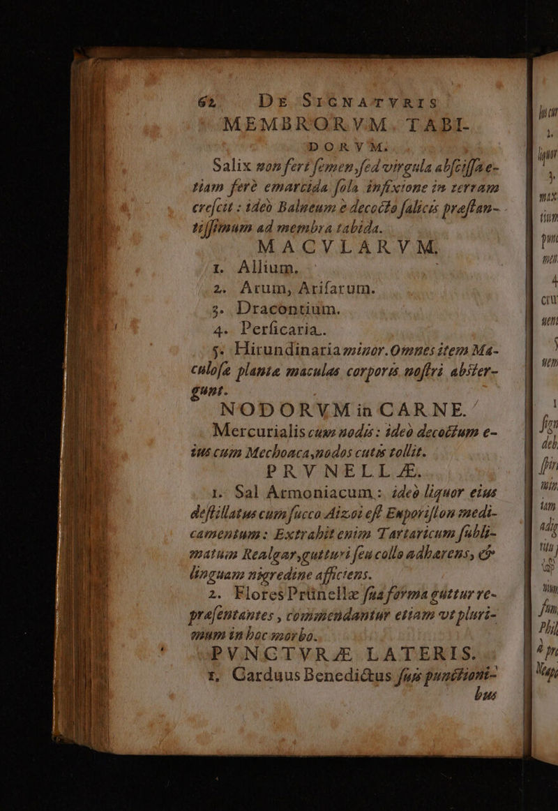 MEMDBROR VM. TABI- DORY'M. salix son fert femen fed virgula ab[ciffae- tiam feré emartida fola infixtone im zerram crejcit : ideb Balneum e decocto falicis proftan- tfJfmum ad membra tabida. MACVLARV M. 1. Allium. 2. Arum, Arifarum. ». Dracontium. 4. Perficaria.. $. Hirundinaria zzizer. Omnes itez Ma- culofe plante smaculas corporis moftrà abiter- gt. NODORVUM in CAR NE. Mercurialis cus» 20dé : ideo decocfum e- 2us Cum Mecboaca,nadas cutis tollit. PRVNELILIL.J 1.- Sal fuia MCEUM : ddeà liquor eius deflillatus cum fucco Aiz.oi eff Emporiflon saedi- camenium: Extrabitenim T. artaricum fabi- 147277 Realgargutturi fea colla adbarens, c linguam nigredine affictens. 2. FloresPrünell a fuafarma euttur ve- pre[entantes , commendantur etiam vt pluri- enum in boc soorbo. PVNCTVRZE LATERIS. Garduus Benedi&us fus punifiani- | bus