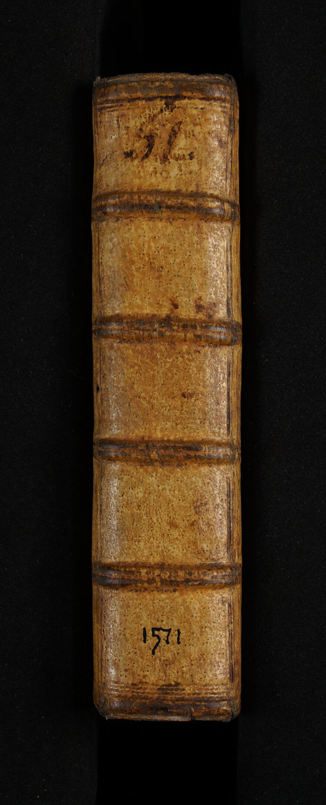 No text description is available for this image