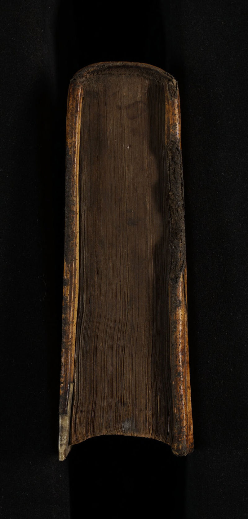 No text description is available for this image