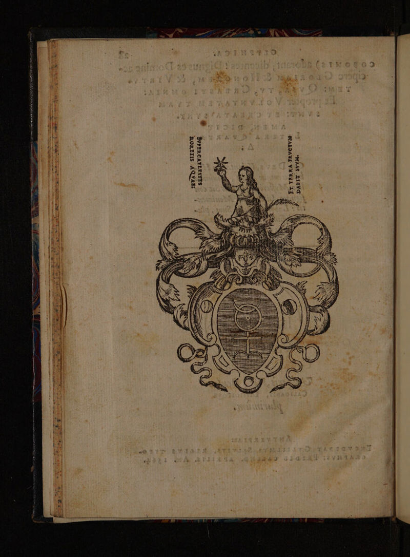 SveRCATLESTTS RORAERIIS AQYAE