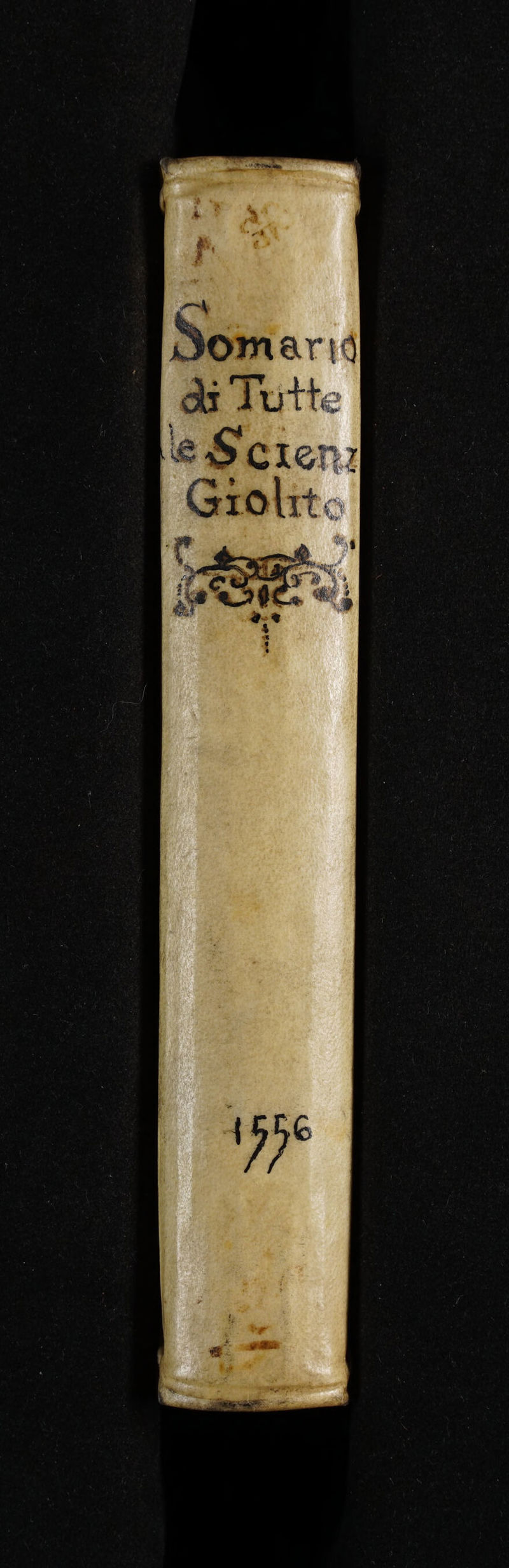 No text description is available for this image