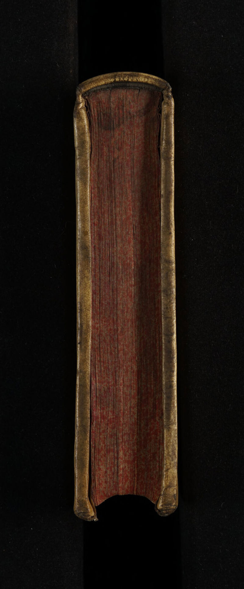 No text description is available for this image