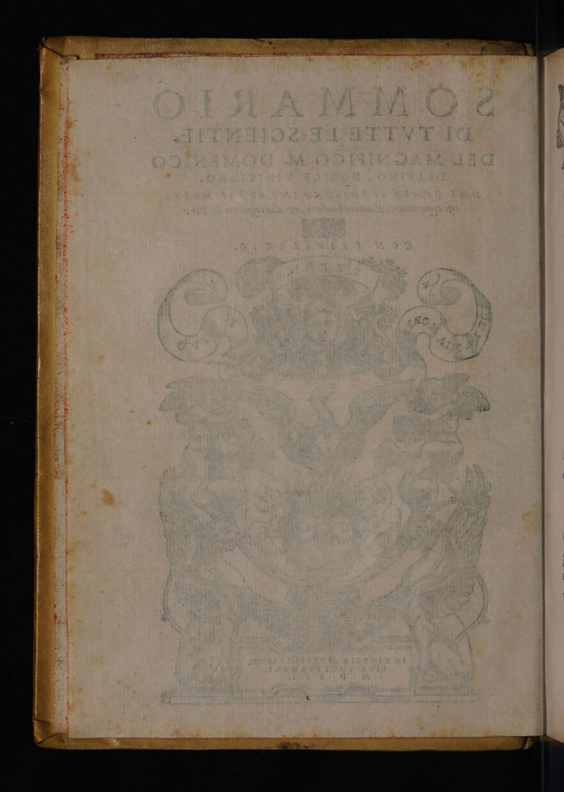 © li DA . s # Re O SII ne 4 % a Pa A x ‘ È