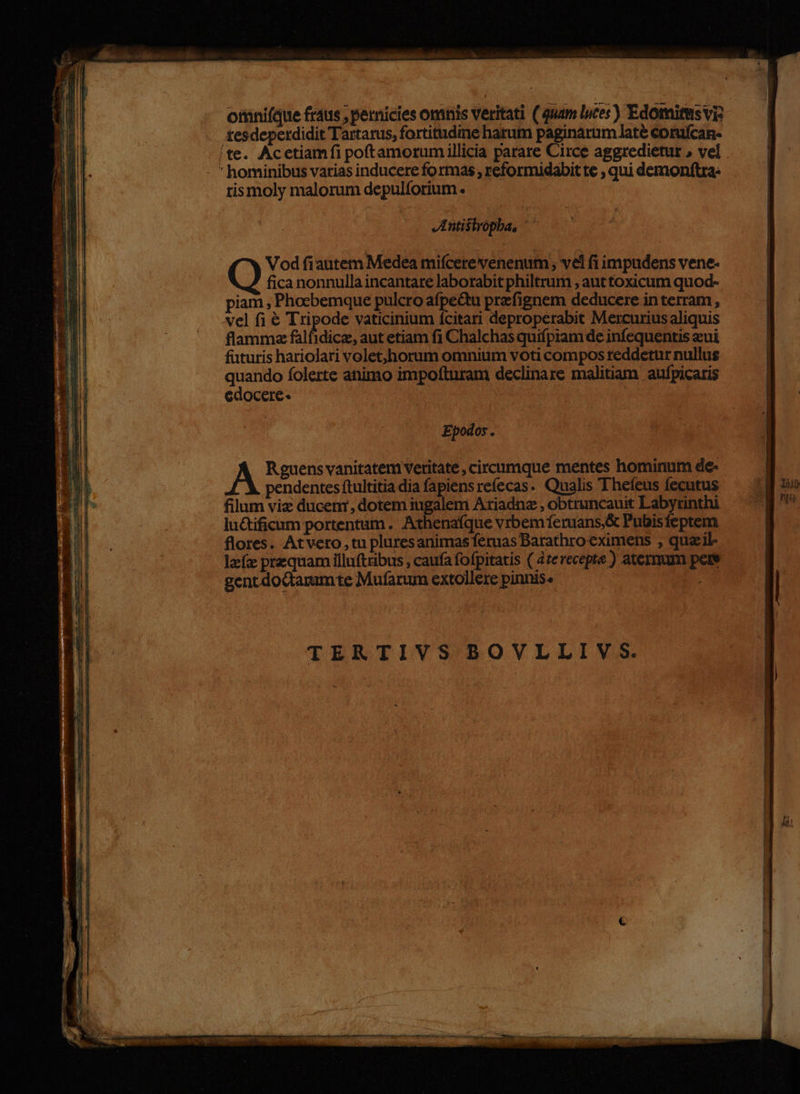 oninifque fraus , pernicies omnis veritati ( quam lues) Edomitus vi tesdeperdidit Tartarus, fortitudine harum paginarum até corufcan- 'te. Acetiamfi poftamorum illicia parare Circe aggredietur » vel  hominibus varias inducere fo rmas , reformidabit te , qui demonftra: rismoly malorum depulforium. Jntistrópba, ' Vod fiautemm Medea miícere venenum vel fi impudens vene- | fica nonnulla incantare laborabit philtrum ; auttoxicum quod- | piam , Phoebemque pulcro afpe&amp;tu prefignem deducere in terram , vel fi € Tripode vaticinium fcitari deproperabit Mercurius aliquis flammz falfidice, aut etiam fi Chalchas quifpiam de infequentis eui | futuris hariolari volet,horum omnium voti compos reddetur nullus uie folerte animo impoíturam declinare malitiam aufpicaris | edocere- ! Epodos . | | A Rguens vanitatem veritate, circumque mentes hominum de- pendentes ftultitia dia fapiens refecas. Qualis Thefeus fecutus ] uo filum viz ducenr, dotem iugalem Ariadnz,obtruncauit Labyrinthi — ^g ^ lu&amp;ificum portentum. Athenafque vrbem feruans,&amp; Pubisfeptem | flores. Atvero tu pluresanimasferuas Barathro eximens , quzil- lzíz przquam illufttibus , caufa fofpitatis ( 4terecepte ) aternum pete gentdoctamumte Mufarum extollere pinnis. : TERTIVS BOVLLIV S.