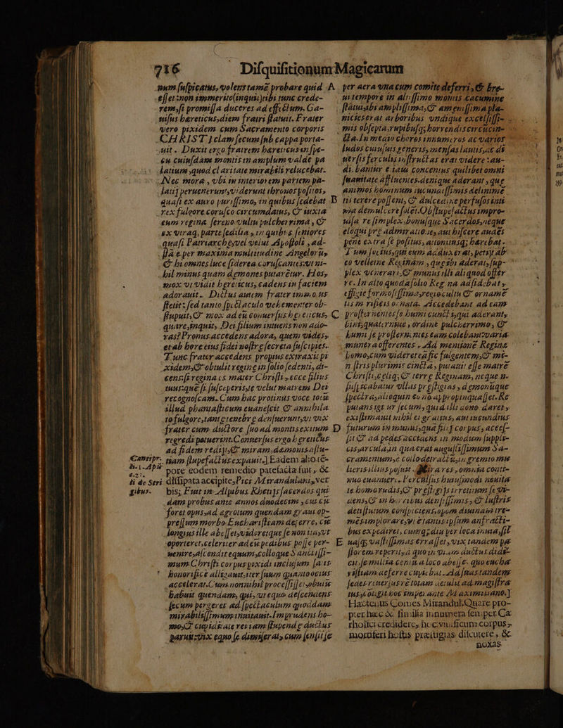 iS - 216 e[fetsnon ipommerito(inqui))nbi tunc erede- rent)fi promt[[a duceres ad effcéium. Ga- en[ns bareticus,diem frami (latuit. Frater vero pixidem. cum Sacramento corporis CHRISTI Hclam fecum [nb cappa porta- uit. Duxit exco fratrem bareneussn[pe- en cuin[dasa montis tn amplum valde pa latiume quod cl axttate mirabsls relucebat. ANec mora , vbi tu interiovezm patteta pa- lau] peruenevuntyv:derunt tbronos po[itos » quaft ex auro puriffimo, in quibus [cdebat rex fuleore.coru[co carcumdaius, C Iuxta enm regina [ereuo.onlin pulcherrima , C ex Viraq, parte [edilta y 12 quibr s femtores ta [i Parrtaxcheyvel velut ddyo[lolt ,ad- flace.per maxima nauititedine 2dngelorus, € bromnes luce (rderea coru[cantessut ui- bil minus quam demones putaretur. F103;. us0x vi Vidit bereiscus, cadens in [aciem adorautt. Ditlus autero frater qmm 0.05 ffetit: fed tanto (pc&amp;l aculo uehementer ob- Éupuit C qox ad eu couuer[us b gi euenss .quare,iaquits Dei filum intuens non ado- vas? Pronus. accedens adora, quem vides» etab borcetus fidei no[Ireecreta [n[ctpies.. T.unc [rater acee dens propius extraxt: py xidem3yd obtulit xeeine in [alto [edentz, di- cens:[eregina cs mater Chrifli ecce filius tuns:que [1 [u[ceperisye velut waatvepa Des vecogno[can. Cum bac protinus uoce totu Jlud pbantaflicum euane[cit &amp; anmbila to.fnleorc,tantgteuebr e den[ueruntvi vix frater cum. ductore [uo ad montisexium regredi patuersnt.Conner[ns ergo b eeucus . A4 fidem redi] miramdemonutsa[in- Posqiie tiam [Iupefattusexpauit.] Eadem alioc€- nier dr pore eodem remedio patefacta fuit ,. Gc li de Srri dltTipata aceipitesPreg AM srandniatu ,NCU gw. — bis; Fut im Alpibus Kbeti]s[aeendos quc dam probus ante annos dnodectm y Gut Cu foret opussad aegrotum quendam gr aut op- prei]um morbo Enchari[Ian dej erre, c1 longius ille abe|[etyvideretque [e won tasvt oporteret celertter ad eu peaibus: po[je per- wenireyelcendit equum ,collogue $ auct i[ft- enum. C brih corpus pexidi imclujum. [aii5 * honorifice allzzamt;iter [ntn quanoo01us: accelerat.Cum. noni proce[fij] et obw Babuu quendam, qui, ut equo ae[cenacns Íjecum perzercer ad.[petbaculum quoddane mizAlils([imunzinmitaust-I[mgrndens bo— moy cuptas ate vevtam [Inpend e duttus parit gux eqpo [e diuns[er at» cun [enu je uttempore in aln [fimo mons cacumine | flatiabi amyliffimsa,C am eniffima pla- mis obfepta.rupibufqs borvendisetrencum- &amp;a.1n mea choros innumcros ac vartoy Indes cuiu|uts penevis, men[as lautisyac d$ utr[isferculss vi[frnblas evat videre:au- di.bantir 61414 Concenius quilibet omni Juaettate aff lnentes-denique aderant , que &amp;mpmos bominum wcunai[[mis aelinme D nsterere po[]ent, C^ dulceaine perfufos iati wa demaulcere [oet.Obltupef actus smpro- sia. re [Vmylexbonu[que Sacerdos,ueque eloqui pre admiratieaes aut bi[eere audes pene extra [e po[itus, attonunsq; b&amp;rebat - co Velleine Ratham ,questi aderat, [np- plex venerari Q munus ili aliquod offer re. In altoquodafolio Keg. ga ad[ftdzbat y ffizie forisofi [[amasreeioculta Q9 ornamt ui em ritis ornata. «dccedebarnt ad cam C pro[ternentesfo bumi cunc? iqui aderanty Lini, quatcrutae , ordine pulcherrimo; C bum. je pro[lernintes tam colebantzuaria muntr a offerentes . «Ad syaenione Regine Lemo,cum qudereteafrc fulgentem? nt- n [Irisplurimis cintda y putant! effe matre Chri[lisceliq G7 terre Renuam,ncque.n. faf scabatur ullas pregíhgias , d emonüque [peclrasalioquin €« no aypropinqua[]et.Re putans igz ur [ec umi quid.idli dono daret » exi[iimiauit uibisl €&amp; gr Attn s, aL Bunt s D futurus tn nunuisqua fis] corpus, acee[- [u €? ad pedesaectaens in modum [uppls- cissarculayn quaerat augu[itl]imum Ya- erapattiumse collogetratitiuu gremio mw lwrisidnsyo[utt Mifiraves.omoansa coatr- auo euantiercs 'ercnl[us buru[iodi uou 16 bomo rudis 2 pr e[bugids sereum (e denssCZ 1n hor cibis den[i [TImniss €? luftris een[luinos eonjpiciensopcen dina re mésunplorareyet &amp;tanus pnm an[racta- bus expediret, cumqs diu yer loca. toma) [it E sa[q; vai fhimas erra[[et vix tandem pat [Jorem veperit, à quota qi ai anetus dtds-- cafe nnlita conim. a loco abejj €. quo enmcba vafa aeferre cuyichat zd [mastandens fedesreiser[usretotan aetulu ad.magi[Ira In53C0Ufit ko6 Tm per ante Ad aximtliano.] .Hactcuus Comes Mirandul.Quare pro- ter hacc ox: fimilia mnnamera femper. Ca rholici credideres hoc:viificunrcorpus » morüferi hotüs pratugias difcutere , &amp; : - . Roxas