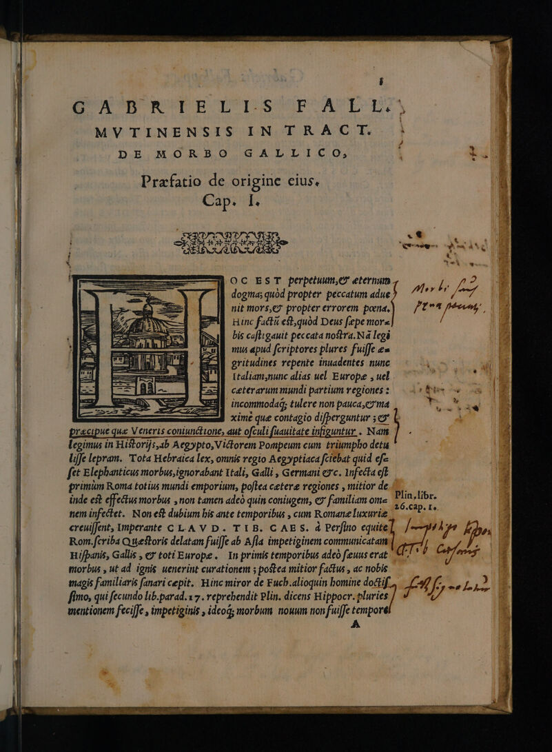 ; G' A'DORTRBLI.':S MVTINENSIS IN TR AC T. DE MORBO GALLICO, OC EST perpetuum,er eternum dogma; quod propter peccatum adue Hinc facta est,quód Deus fepe mors bis ca[ligauit peccata nostra. Nà legi mus apud fcriptores plures fuiffe &amp;« gritudines repente inuadentes nunc NU ! ceterarummundi partium vegiones : incommodad; tulere non pauca,c7 ma a pracipue qua V eneris coniunctione, aut ofculi faauitate infiguntur . Nam legimus in Historijs,4b Aegypto, Victorem Pompeum cum. triumpho detu liffe lepram. Tota Hebraica lex, omnis regio Aegyptiaca fciebat quid ef- fet Elephanticus miorbus,ignorabant 1tali, Galli , Germani yc. 1nfecta eft primi Roma totius mundi emporium, poflea cetera regiones , mitior de inde est effectus morbus , non tamen adcó quin coniugem, ex familiam om« nem infectet. Nonest dufunt bis ante temporibus , cum Romane luxurie Rom.fcriba Qwestoris delatam fuilfe ab Afla impetiginem communicatam Hifpanis, Gallis , e7' toti Europe. Inprimis tentporibus adeo feuus erat ttorbus , ut ad. ignis. uenerint curationem s postea mitior factus , ac nobis fimo, qui fecundo lib.parad.1 7 . reprebendit Plin. dicens Hippocr. pluries mentionem fecilfe , impetiginis , idcoq; morbum. nouum non TUS temporé 3 «$8 cU nav qe: &amp; ^ p2 f LT / rA ftn poco. * A uL v » ' l o L1 Plin,libr. 26.Cap. Eo. .[9 e