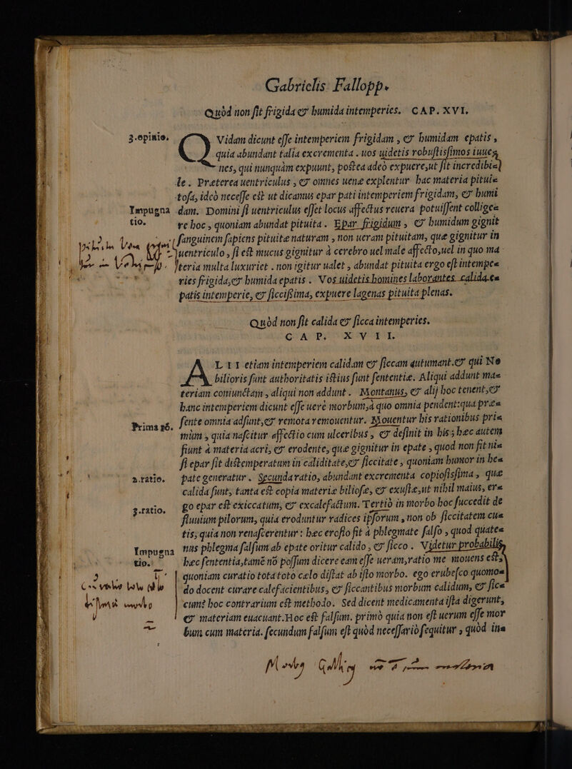 xd ES d peret pe LE lA Gabrielis: Fallopp. Quod uon fit frigida e» bumida intemperies.| CAP. XVI. 3.epinio, d per dicunt effe intemperie frigidam , e bumidam epatis , * quia abundant talia excrementa . uos uidetis robuftisfimos iuue nes, qui nunquam expuunt, postea adeo expueresut fit incredibis le. Preterea uentriculus , y omtes uene explentur. bac materia pituie l tofa, idcà neceffe dt ut dicamus epar pati intemperiem frigidam, e bunii jl Impugna dam. Domini fi uentriculus e[Jet locus affectus veuera. potui[Jent colligee | rer ve boc , quoniam abundat pituita. Epar frigidum , C bumidum gignit VeL s Va audet fanguinem fapiens pituite naturam , non ueram pituitam, que gignitur in | Ww » Ter D ouentriculo fiet mucus gignitur à cerebro uel male affecto,uel in quo ima. | UT je cV M7 j |teria multa luxuriet . non igitur ualet , abundat pituita ergo eft intempee | E .- T. vies frigidae bumida epatis .. Nos uidetis bomines laborantes. calida.eu | | — ÁÀ MÀÀ—MÁ—U— — QuOd non fit calida ev [ficca initemperies. QUA CPPUUNE WS. A L11etam intemperiem calid.an c ficcam qutumant.e? qui Ne ! bilioris fant autboritatis iius funt fententie. Aliqui addunt mae | teriam coniunctaym , aliqui non addunt .. Montanus, C alij boc tenent, eo | banc intemperiem dicunt effe ueve morbum;à quo omnia pendent:qua pre | fete omnia adfunt,ez remota vemouentur. Byouentur bis vationibus pris mim s quia nafcitur affectio cum ulceribus , definit in bis s bec anten fiunt 4 materia acri, e? erodente; que gignitur in epate , quod non fit nie fl epar fit ditemperatum in caliditate,cy ficcitate , quoniam bumor in bea | | ».radje. — patcgeneratur. Secundaratio, abundant excrementa copiofisfima, que | í calida funt; tanta e&amp; copia materie biliofe, c5 exufle,ut nibil maius, €r« | go epar eft exiccatum, cx excalefattum. Tertio in morbo boc fuccedit de fluuium pilorum, quia eroduntur radices ifforum , non ob ficcitatem cue tis; quia non enafcerentur : bec evofio fit à pblegmate falfo , quod quiate« Impusna /5 phlegma falfum ab epate oritur calido , ey ficco . Videtur robabili tio. — — becfententia,tamé no poffum dicere eam effe wevam,ratio me mouens est; E d ui quoniam curatio tota toto celo diftat ab ilo morbo. ego erube[co quomo Cr vie Vw d do docent curare calef'4cientibus, c7 ficcantibus morbum calidum, € fice des T cum? boc contrarium e£ methodo. Sed dicent medicamenta ifla digerunt, - Prima r6. | 3.ratio. € materiam euacitant Hoc e$t falfum. primó quia non eft uerum effe mor bur cum materia. fecundum falfum eft quod nece[Jerio fequitur , quód. itia