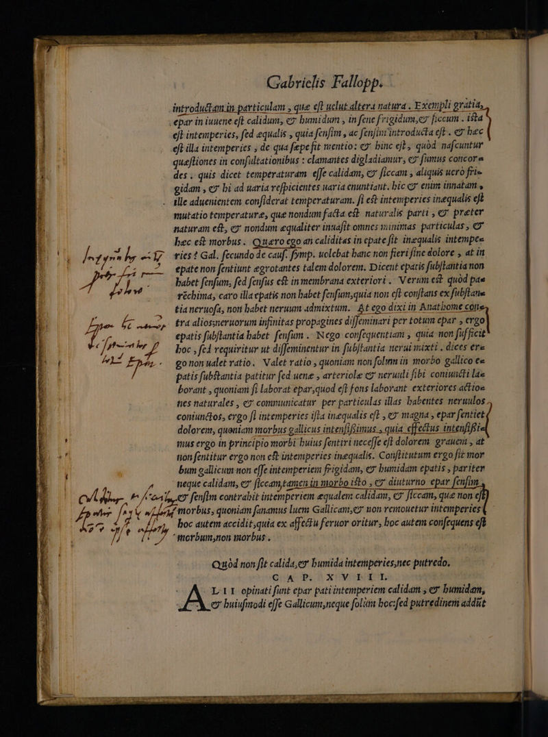 b La 2) v 7/t / 4 P IIIA dst Nd d TY. Mer r Ac k ) erri ES — rd - a v xe rae 6. Gabrielis Fallopp. eft inteperies, fed equalis , quia fenfim , ac fenfinrintroducta eft . € bec quejliones in confultationibus : clamantes digladiamur, 7 fumus concors des . quis dicet: temperaturam. efJe calidam, c ficcam , aliquis uerà fri» gidam , «9 bi ad uaria refpicientes uaria enuntianit. bic 7 enim innatam » i PST, d mutatio temperature, que nondum facta est naturalis partt , C' preter naturam e, ey nondum equaliter inuafit omnes viinimas. particulas , &amp;* hec et morbus. Quero ego an caliditas in cpate fit inequalis intempes ries ? Gdl. fecundo de cauf. fymp. uolebat banc non fieri fine dolore , at it epate non fentiunt egrotantes talem dolorem. Dicent epatis fub/Lantia non babet fenfum, fed fenfus cft in membrana exteriori. Verum es? quód pae réchima, caro illa epatis non babet fenfum,quia tion eft covflans ex fubftatim tra aliossneruorum infinitas propagines difJeminari per totum epar , erg epatis fabflantia babet. fenfum . Nego: confequentiam , quia non fufficit boc , fed requiritur ut diffeminentur in fübjtantia erui wixti . dices ere go non ualet ratio. Valet vatio , quoniam non foli in. morbo gallico €« patis fubftantia patitur fed uene , arteriole cz neruuli fibi coniuncti lae borant , quoniam fi laborat epar,quod eft fons laborant exteriores acftoe coniunctos, ergo [1 intemperies ifla inequalis eft , ey magna , epar fentiet imus ergo in principio morbi buius fentiri neceffe eft dolorem. grauem , at fion fentitur ergo non eft intemperies inequalis. Conflitutum ergo fit mor bum gallicum tton effe intemperiem frigidam, ey bumidam epatis , pariter boc autem accidit,quia ex affectu feruor oritur, boc autem confequens eft Quod non fit calidae bumida intemperies,nec putredo. Cow P. x0erm cA ppt opinati funt epar patiintemperiem calidam , ey bumidam, : AY e buiufiodi efe Gallicumneque folim boc:fed putredinem addit